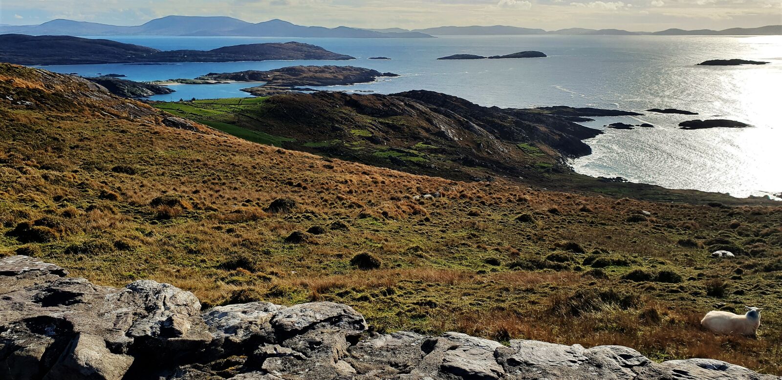 Samsung Galaxy S9 sample photo. The ring of kerry photography