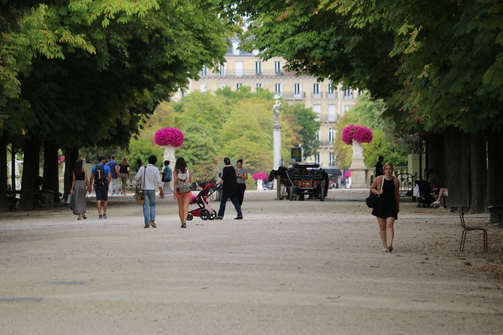 Canon EOS 760D (EOS Rebel T6s / EOS 8000D) sample photo. Paris, tree, summer photography