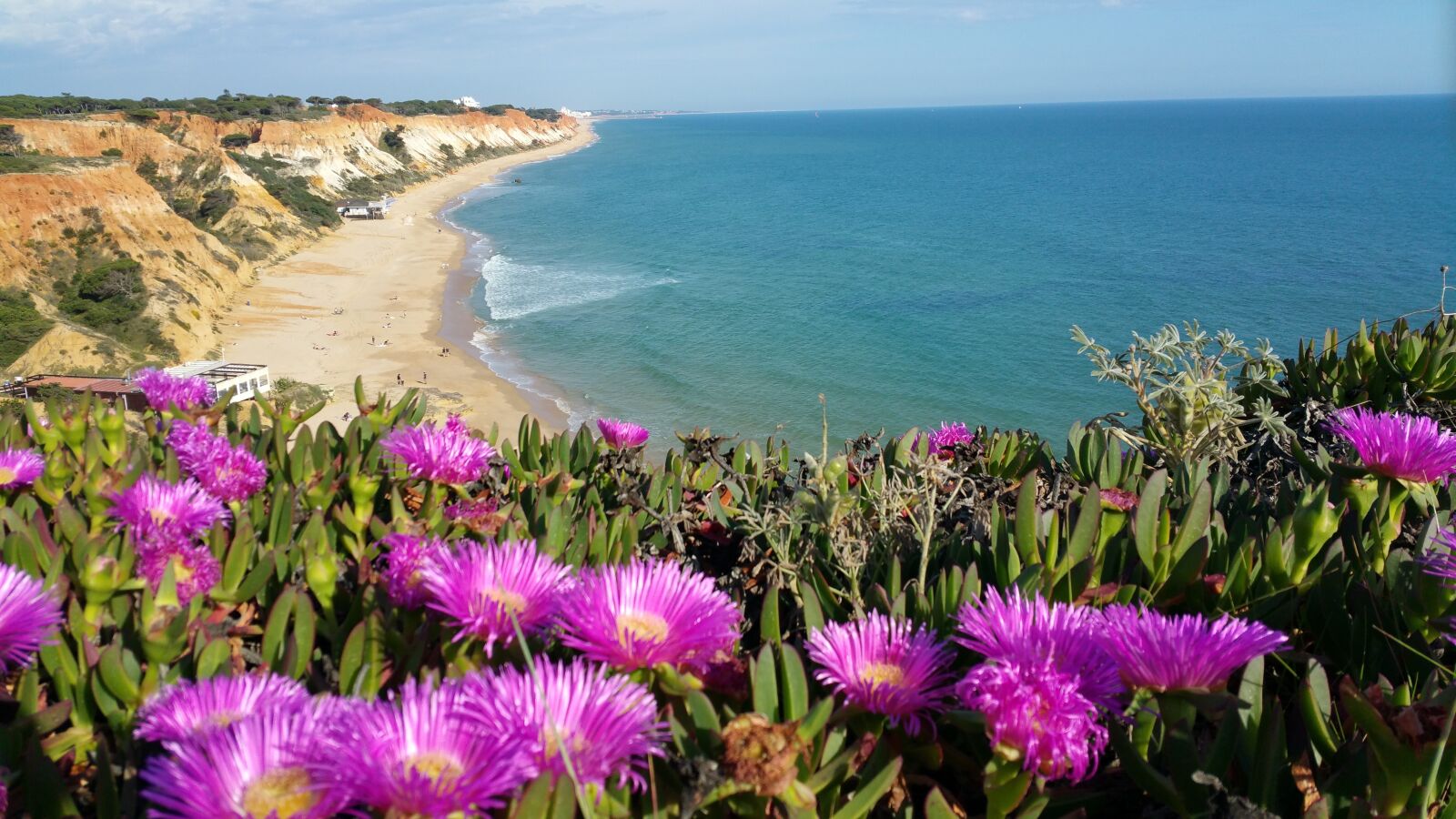 Samsung Galaxy Note4 sample photo. Portugal, algarve, purple photography