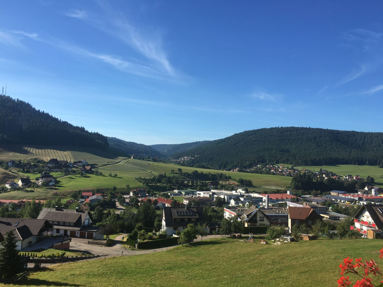 Apple iPhone 6s sample photo. Black forest, sky, summer photography