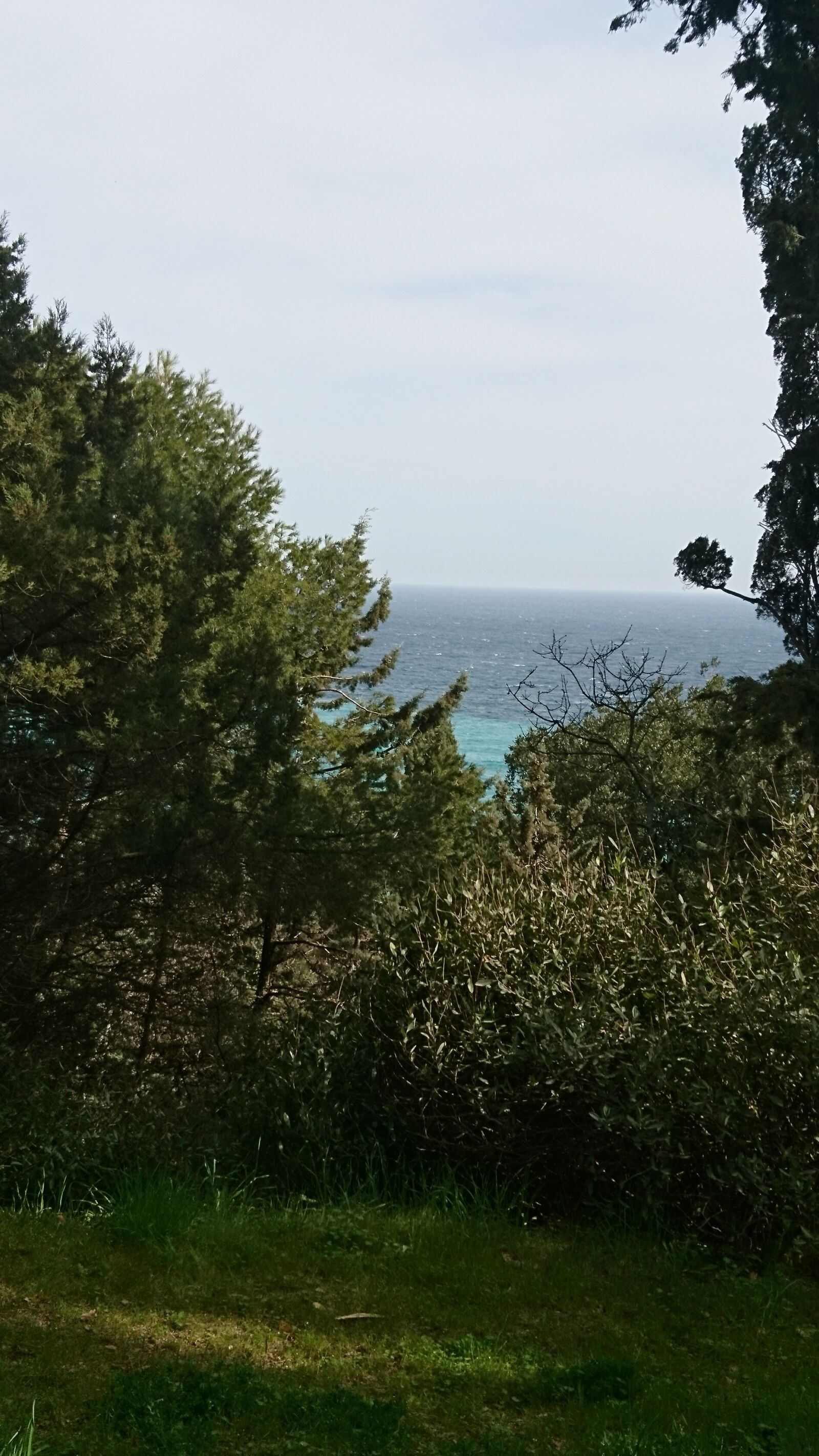 Sony Xperia X Compact sample photo. Sea, landscape, summer photography