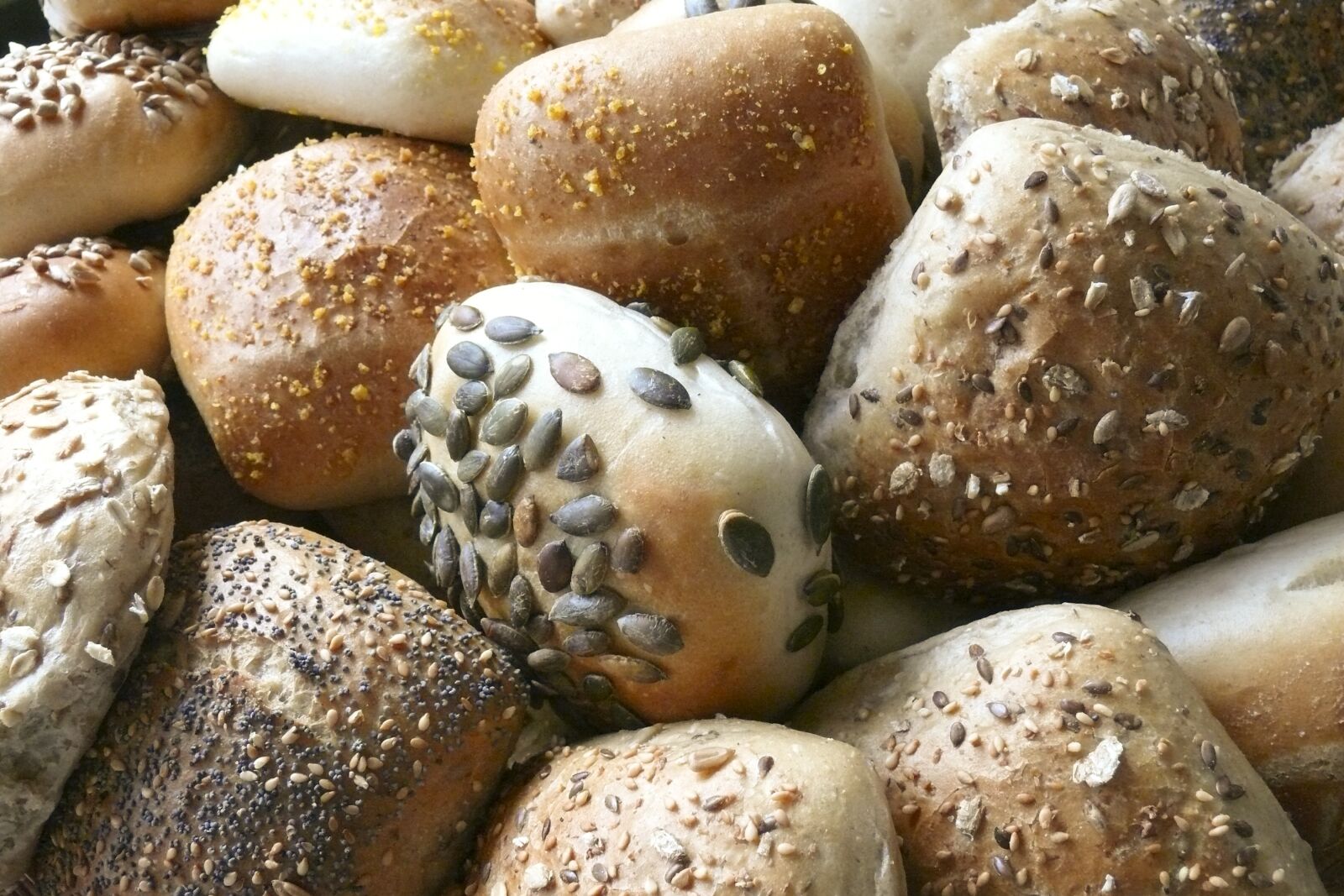 Panasonic DMC-FZ50 sample photo. Roll, bread, eat photography