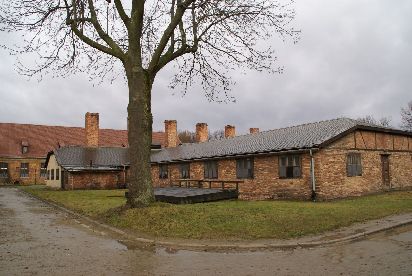 Sony Alpha DSLR-A100 sample photo. Auschwitz, concentration camp, second photography