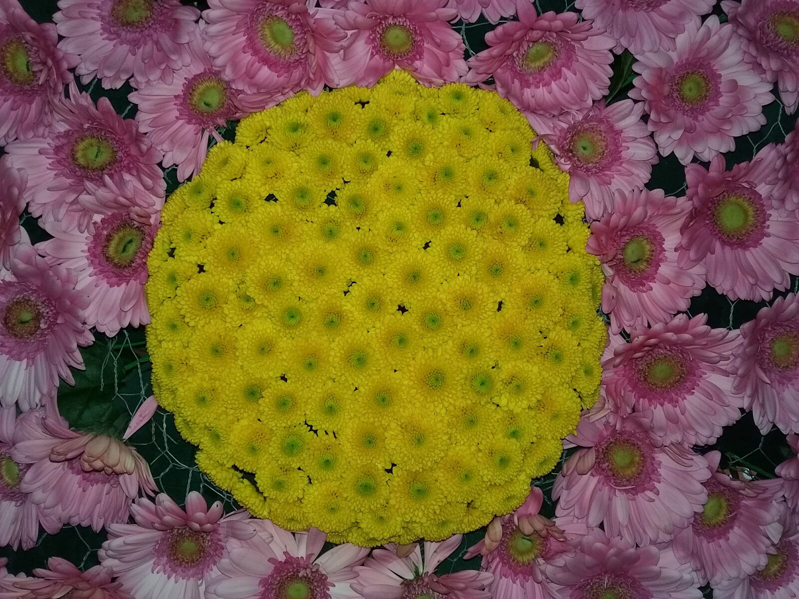 Samsung Galaxy J3(2016) sample photo