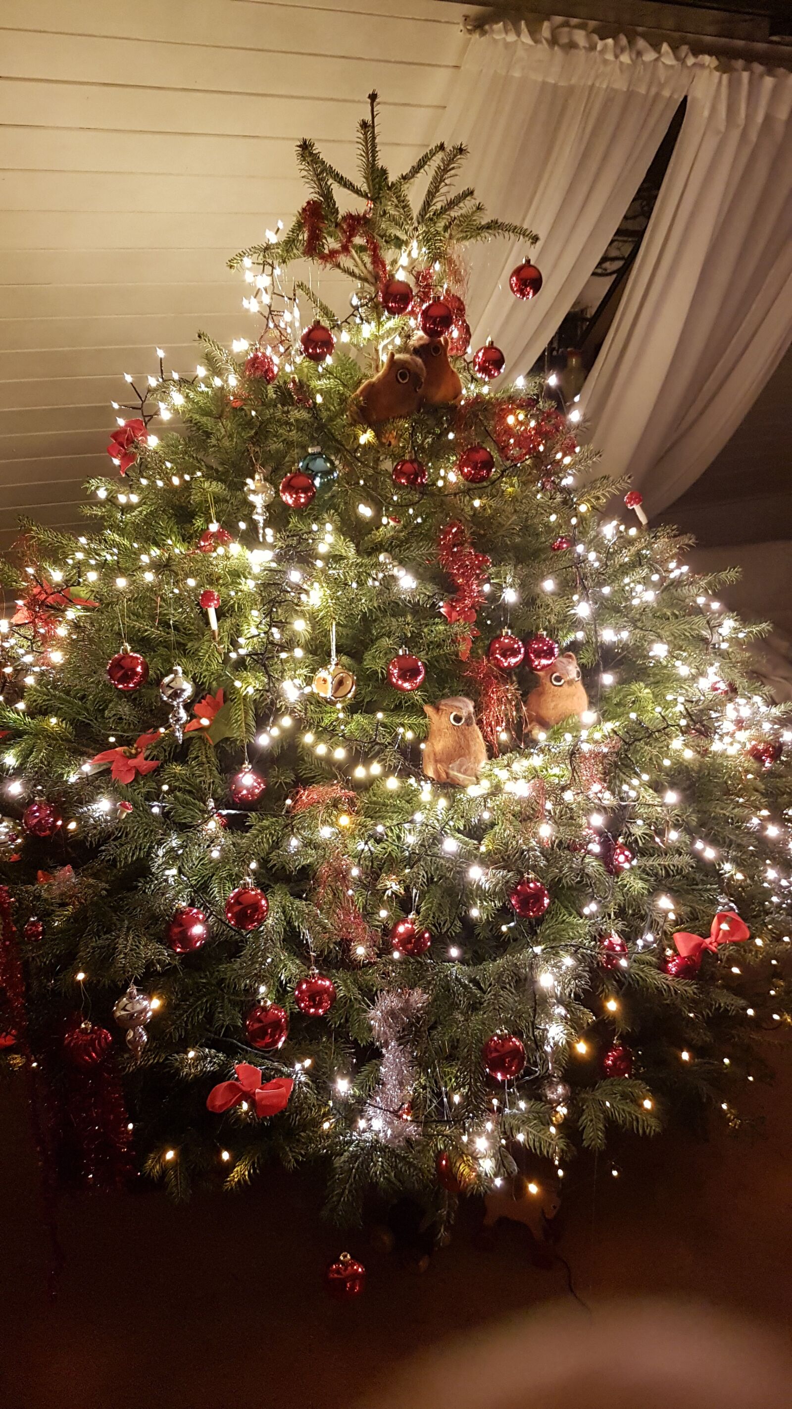 Samsung Galaxy S7 sample photo. Christmas, decoration, christmas background photography