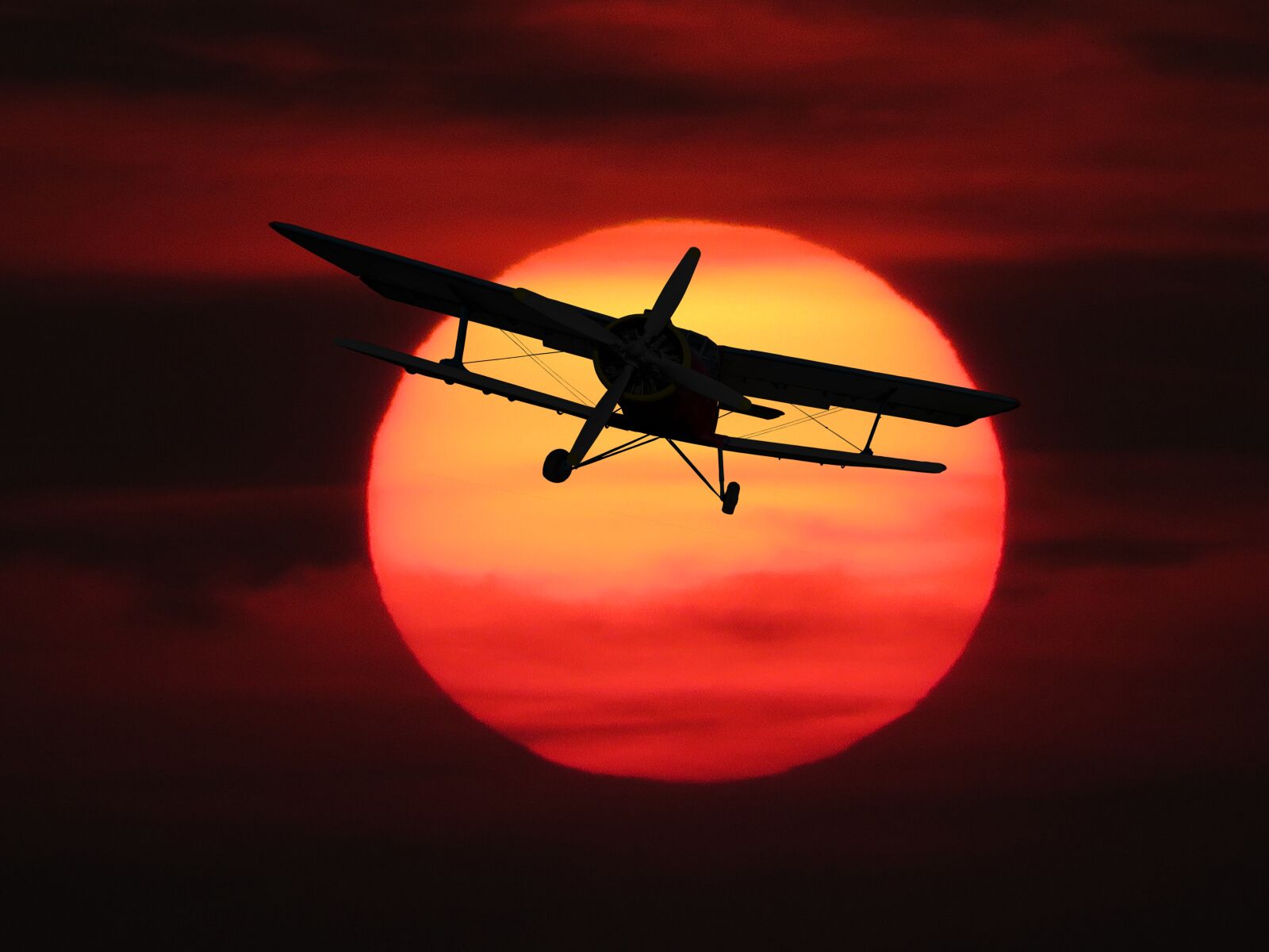 Canon PowerShot SX710 HS sample photo. Nature, sun, aircraft photography