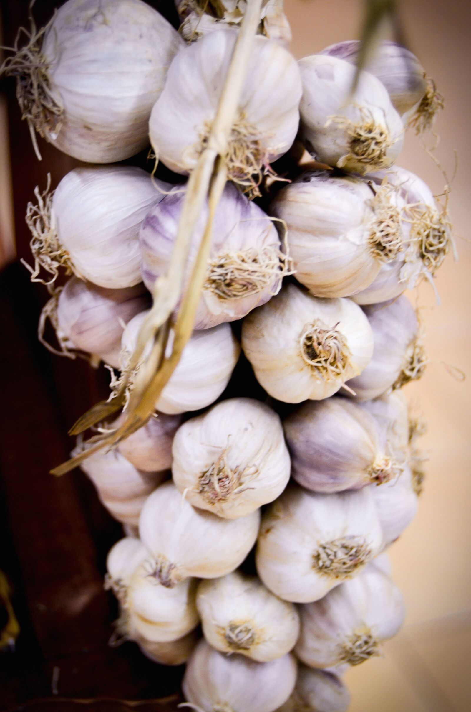 Nikon D5100 sample photo. Garlic, white, food, spice photography