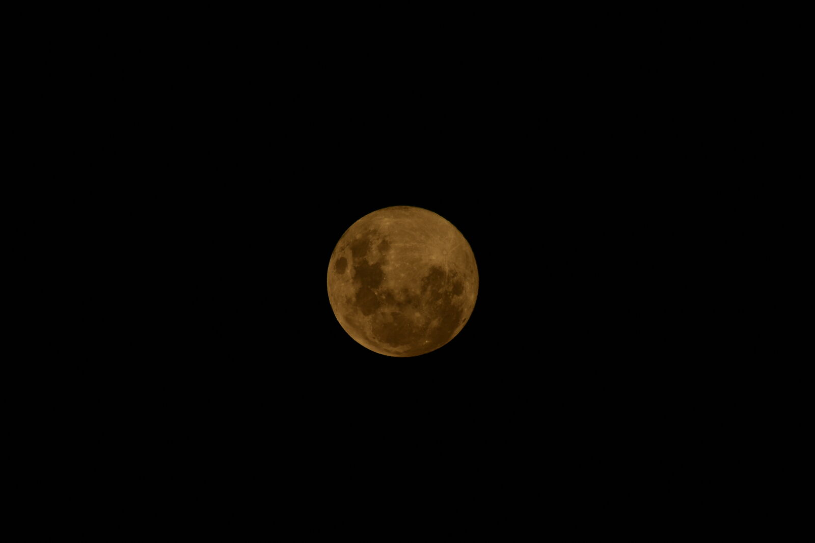 Nikon D3500 sample photo