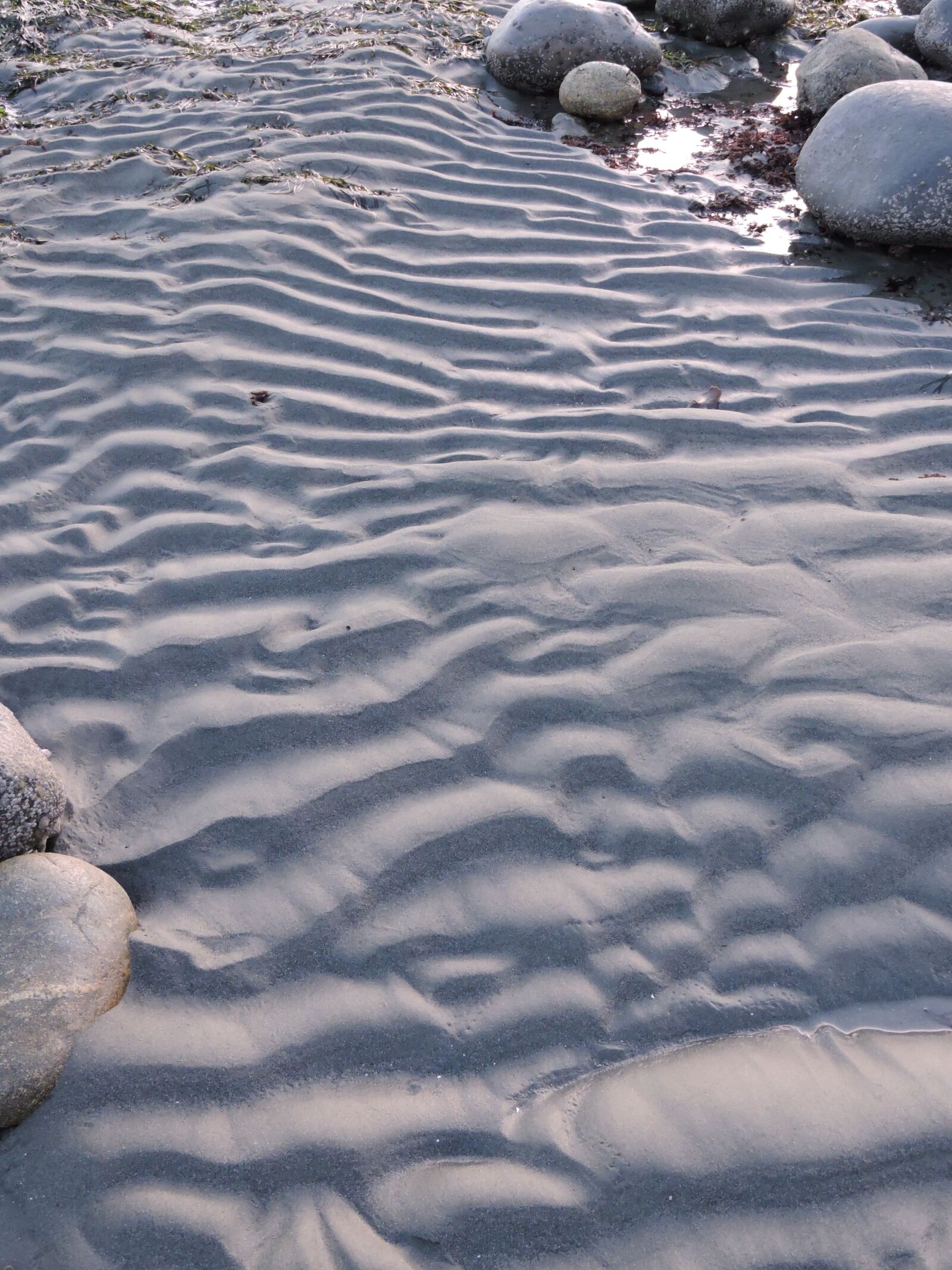 Nikon Coolpix P600 sample photo. Beach, sand, ripples photography