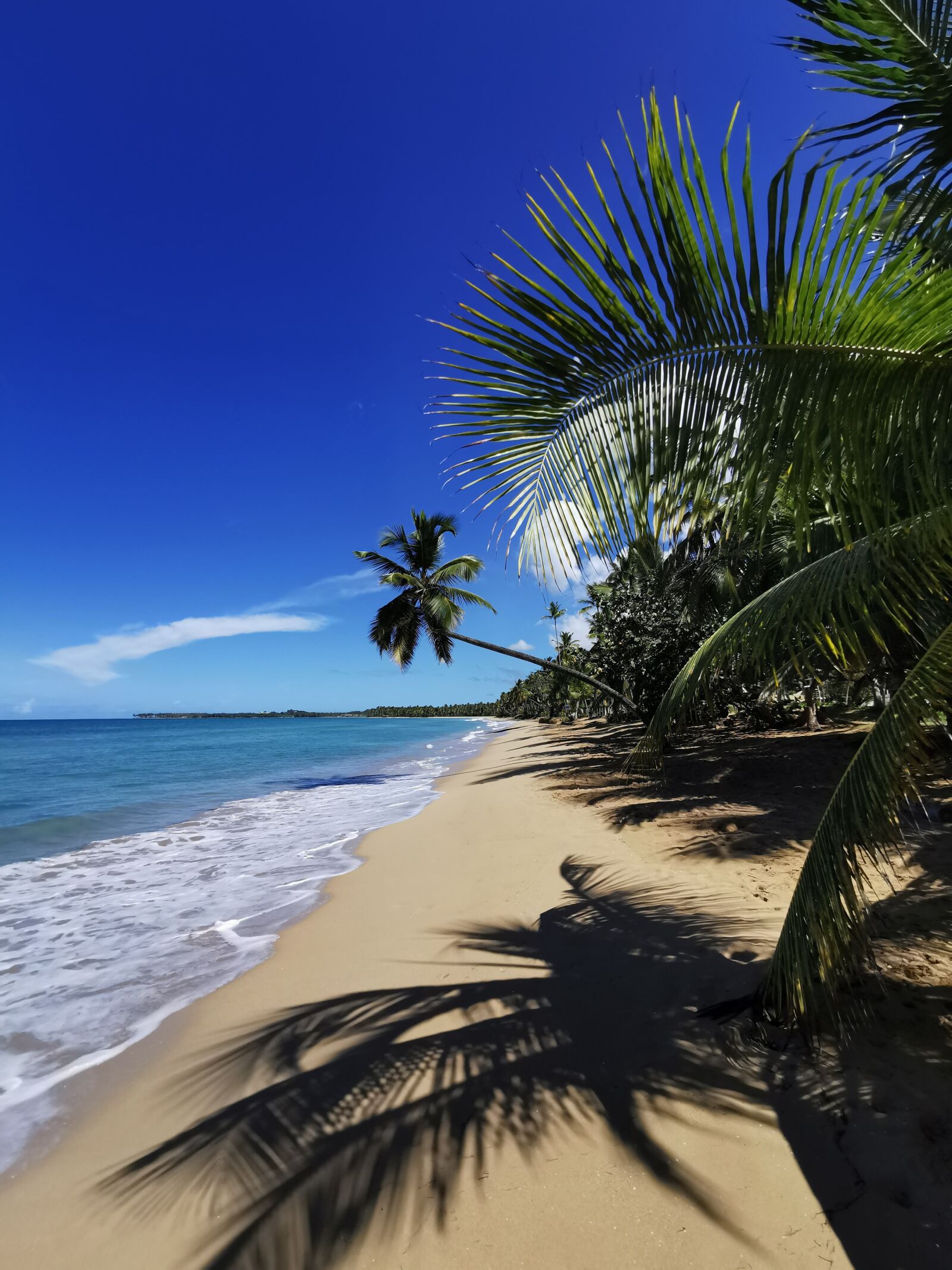 HUAWEI P30 Pro sample photo. Dominicanrepublic, republicadominicana, dominikana photography