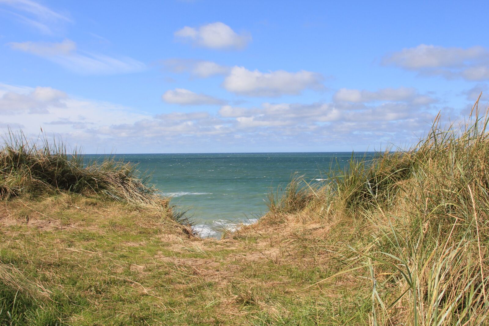 Canon EOS 550D (EOS Rebel T2i / EOS Kiss X4) sample photo. Vacations, sea, dune photography