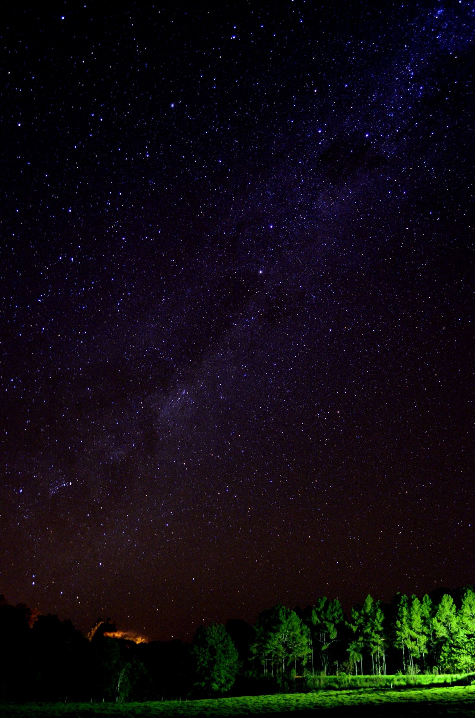 Nikon D5100 sample photo