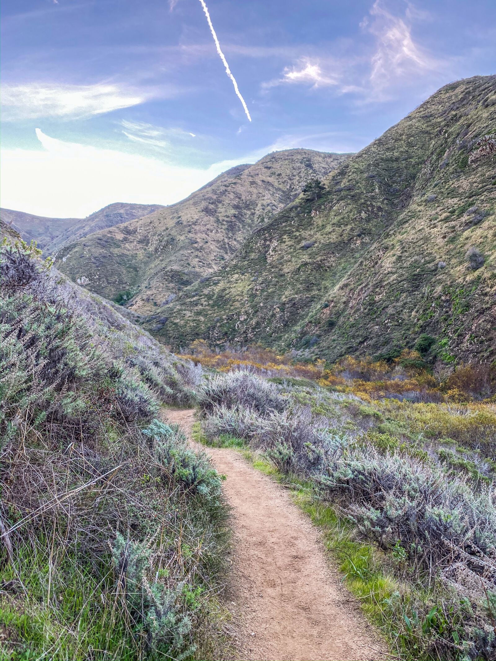 Apple iPhone 11 Pro sample photo. Hiking, path, nature photography