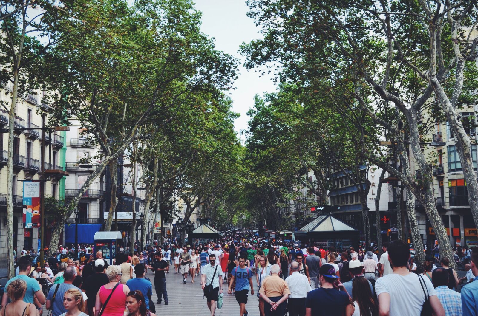 Nikon D5100 sample photo. City, people, street, trees photography
