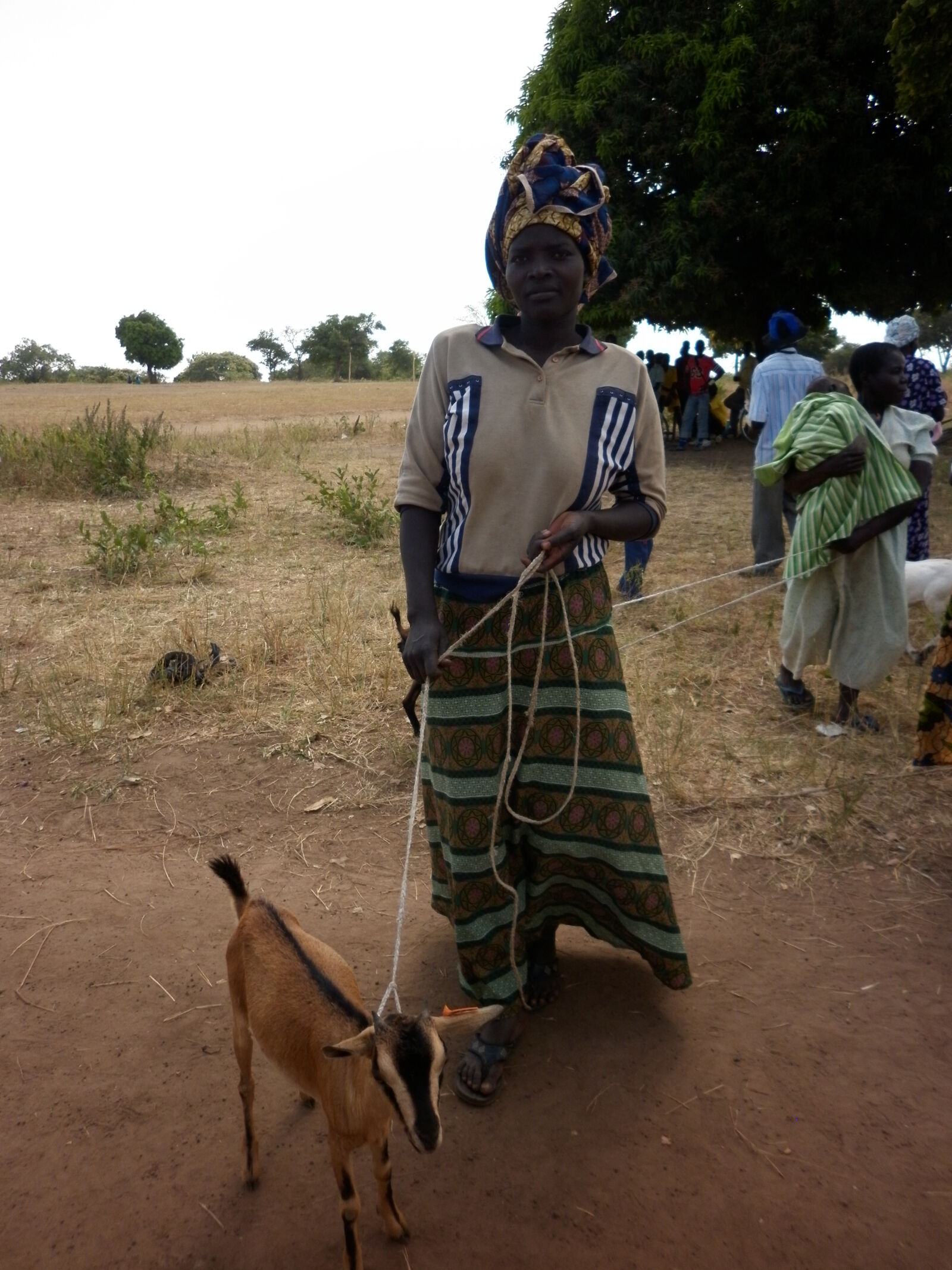 Panasonic DMC-F3 sample photo. Africa, goat, lady, poverty photography