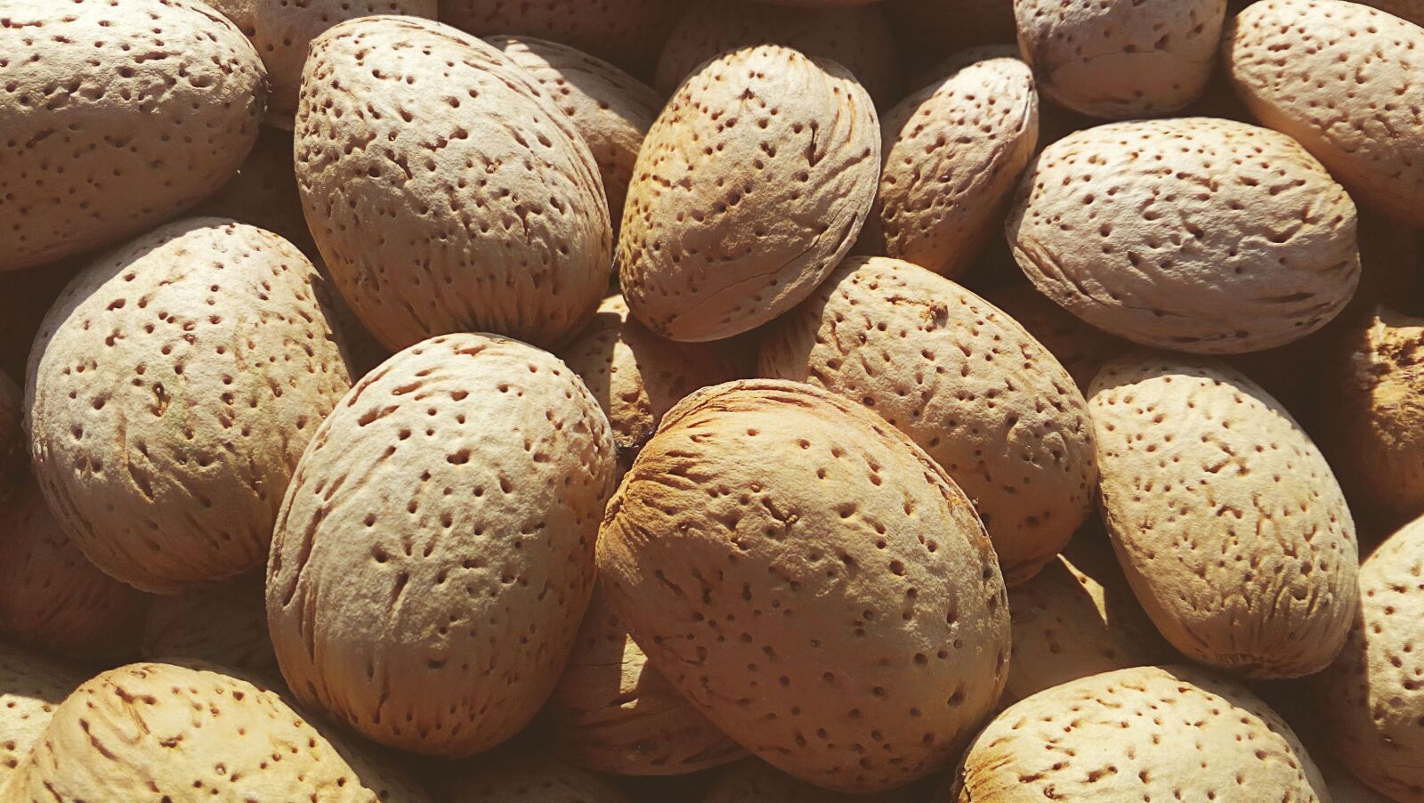 HUAWEI Y5II sample photo. Almonds, dried fruits, shell photography