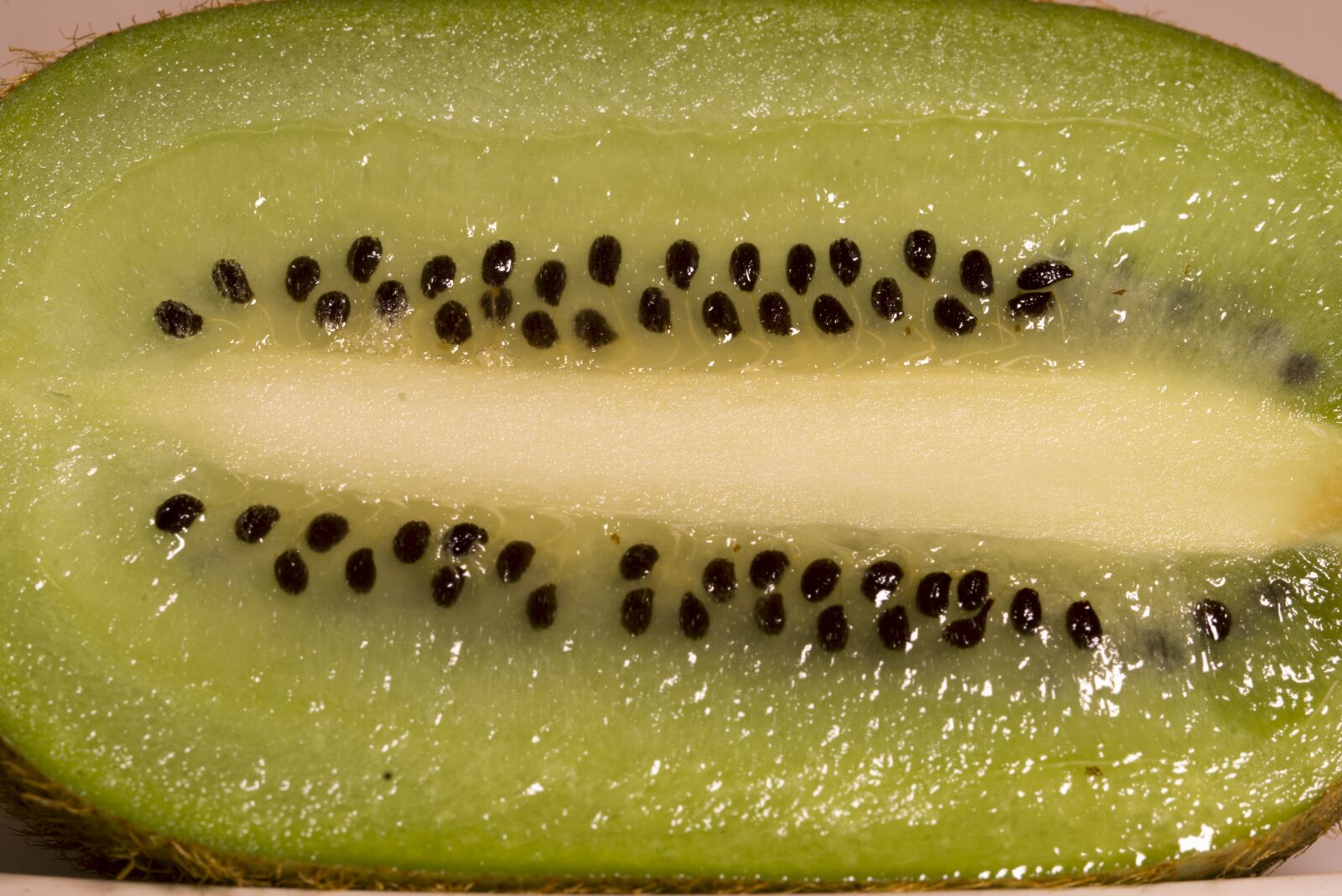 Pentax K-1 sample photo. "Kiwi, fruit, fruits" photography