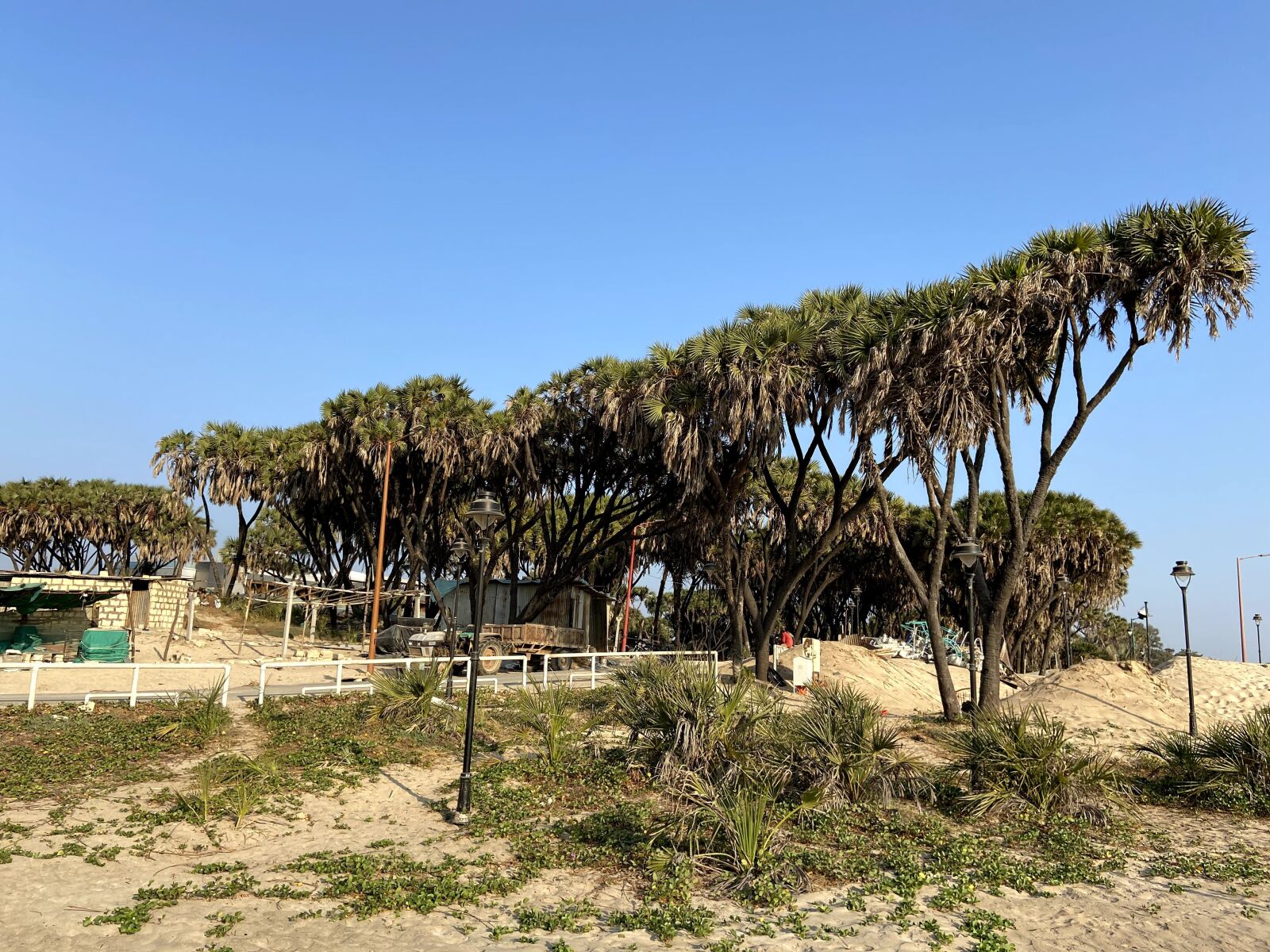 Apple iPhone 11 sample photo. Landscape, beach, vibes photography