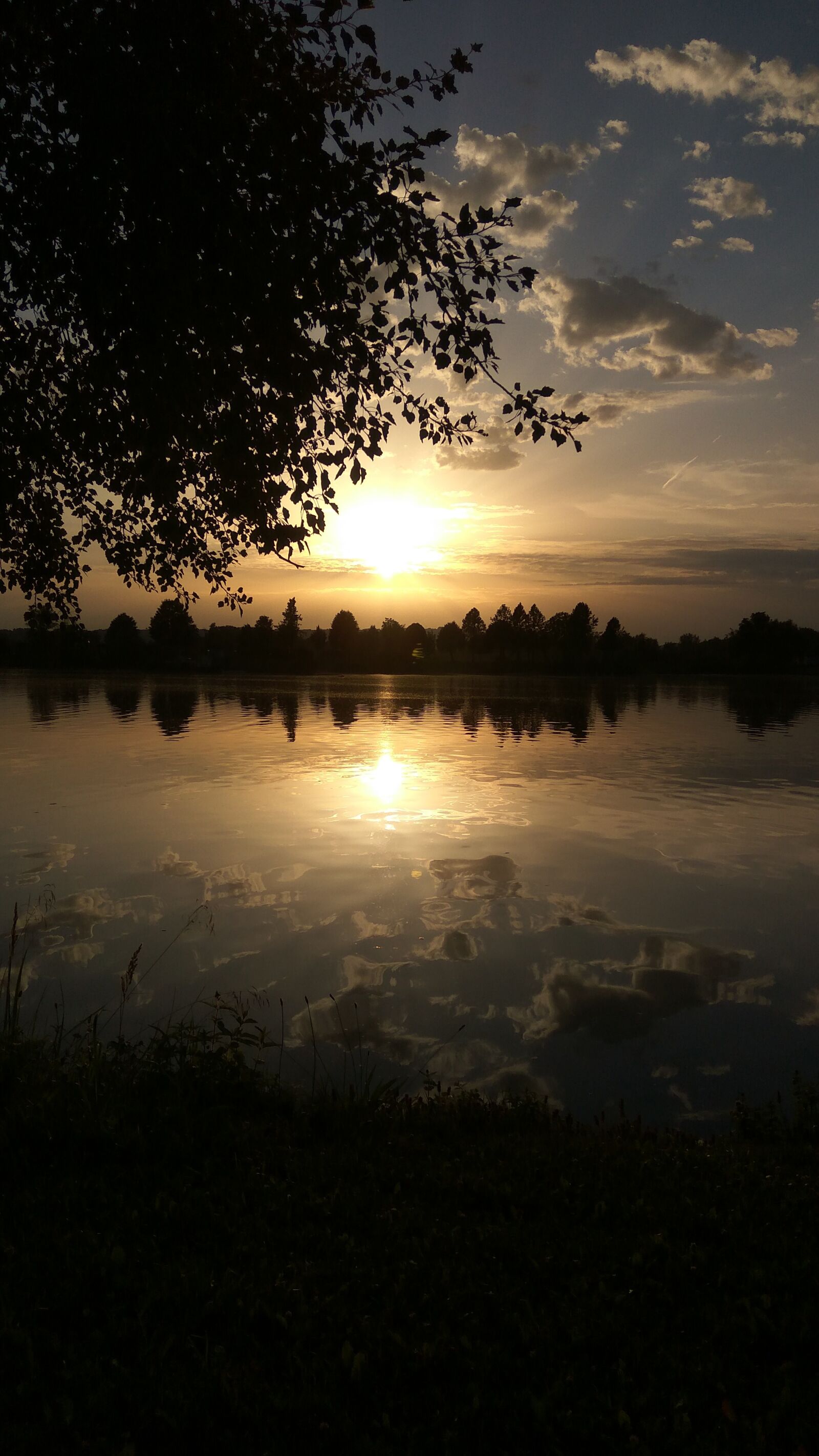 Xiaomi Redmi Note3 sample photo. Atmospheric, nature, abendstimmung photography