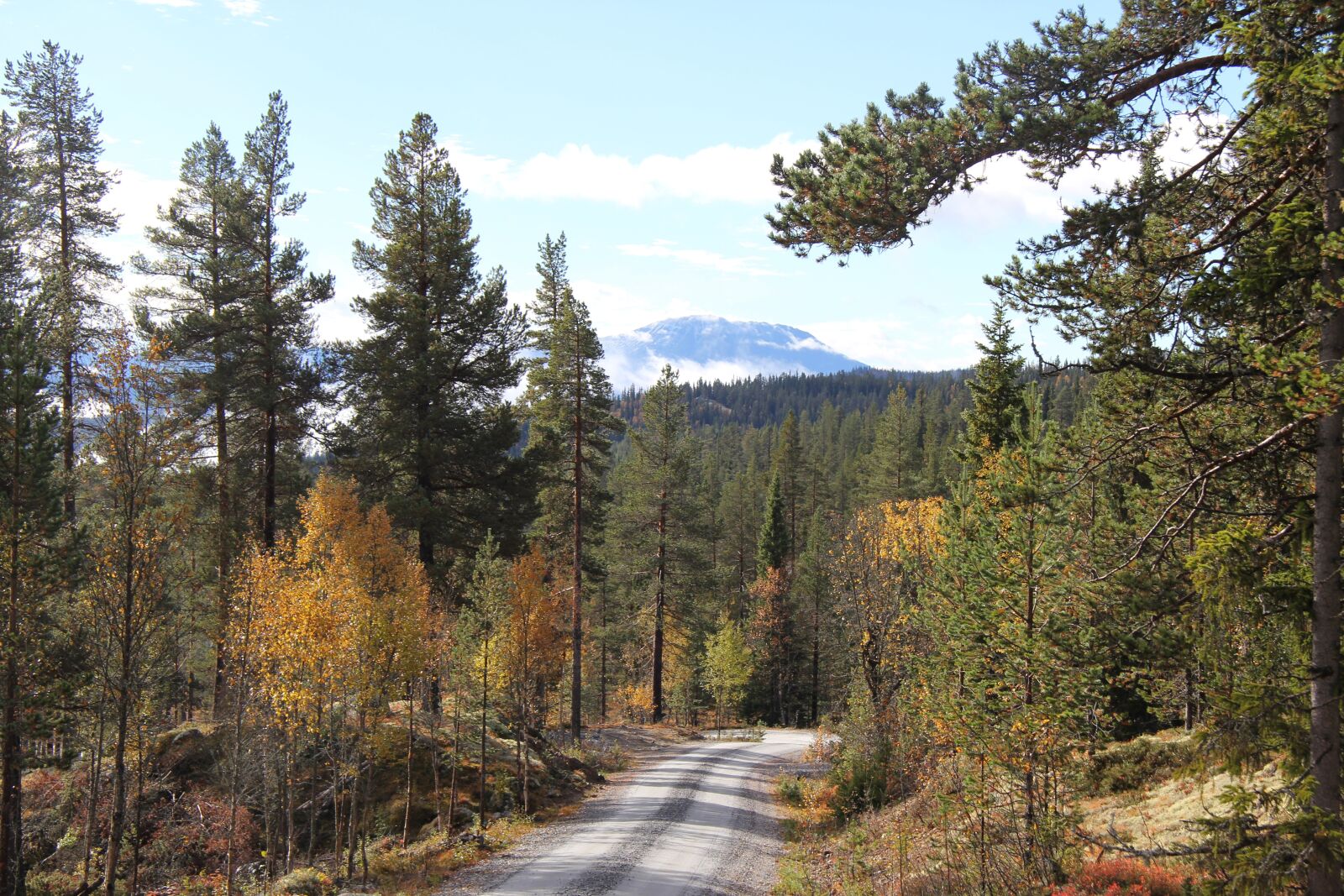 Canon EF-S 17-85mm F4-5.6 IS USM sample photo. Autumn, telemark norway, tindefjell photography