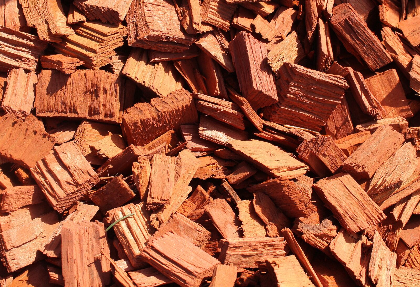 Canon EOS 1200D (EOS Rebel T5 / EOS Kiss X70 / EOS Hi) sample photo. Wood, texture, the background photography