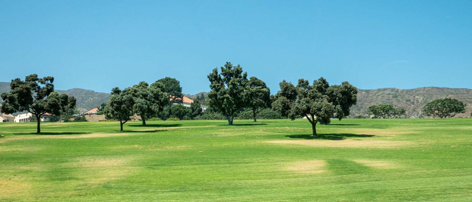 Sony Cyber-shot DSC-RX100 VI sample photo. Landscape, trees, scene photography
