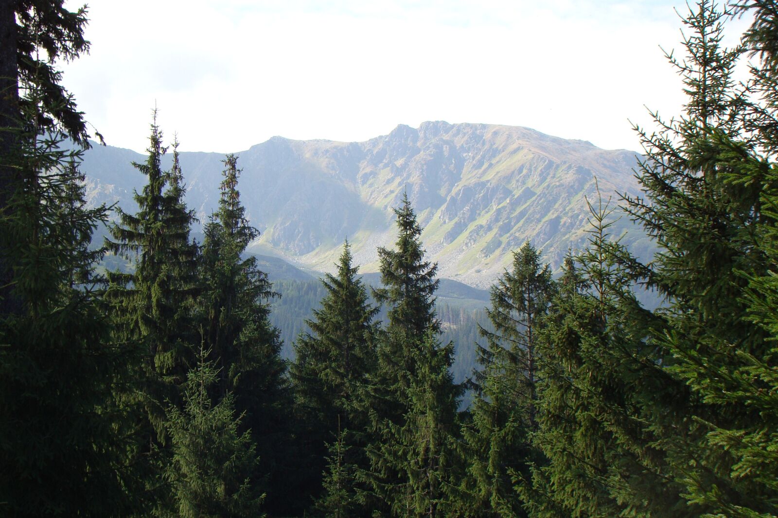 Sony Cyber-shot DSC-H50 sample photo. Mountains, pines, landscape photography