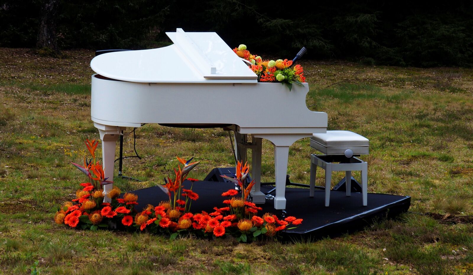 Olympus OM-D E-M10 II sample photo. Street photography, piano, outdoor photography