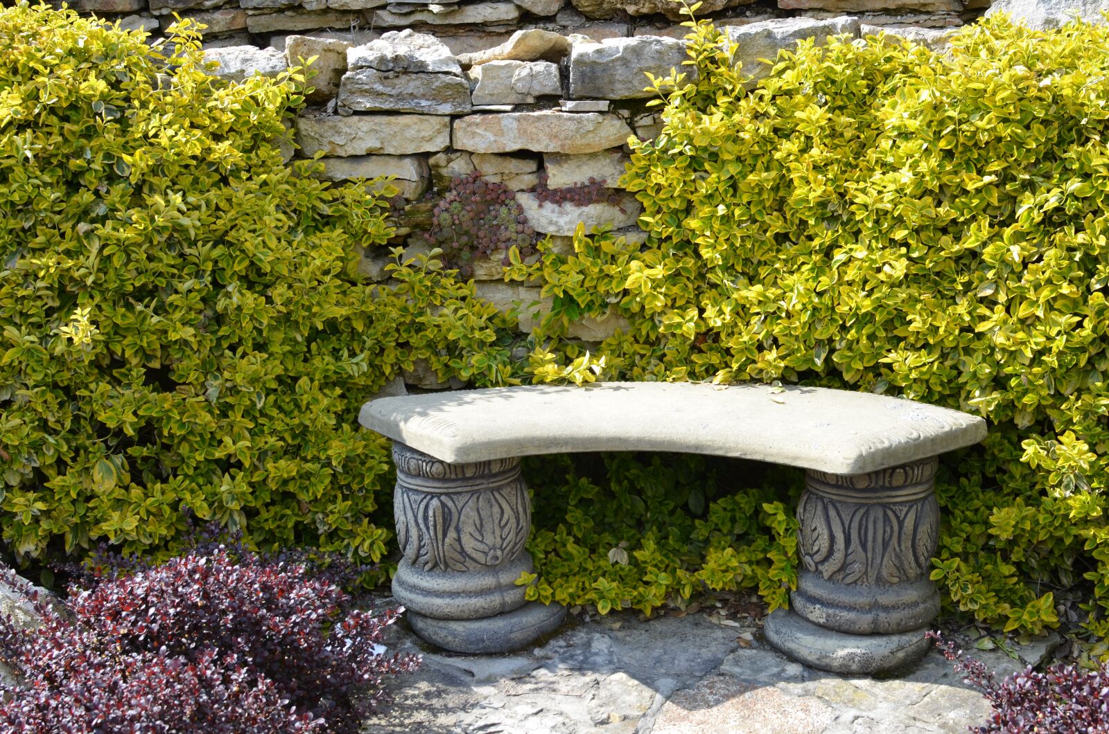 Nikon D7000 sample photo. Bench, garden, green photography