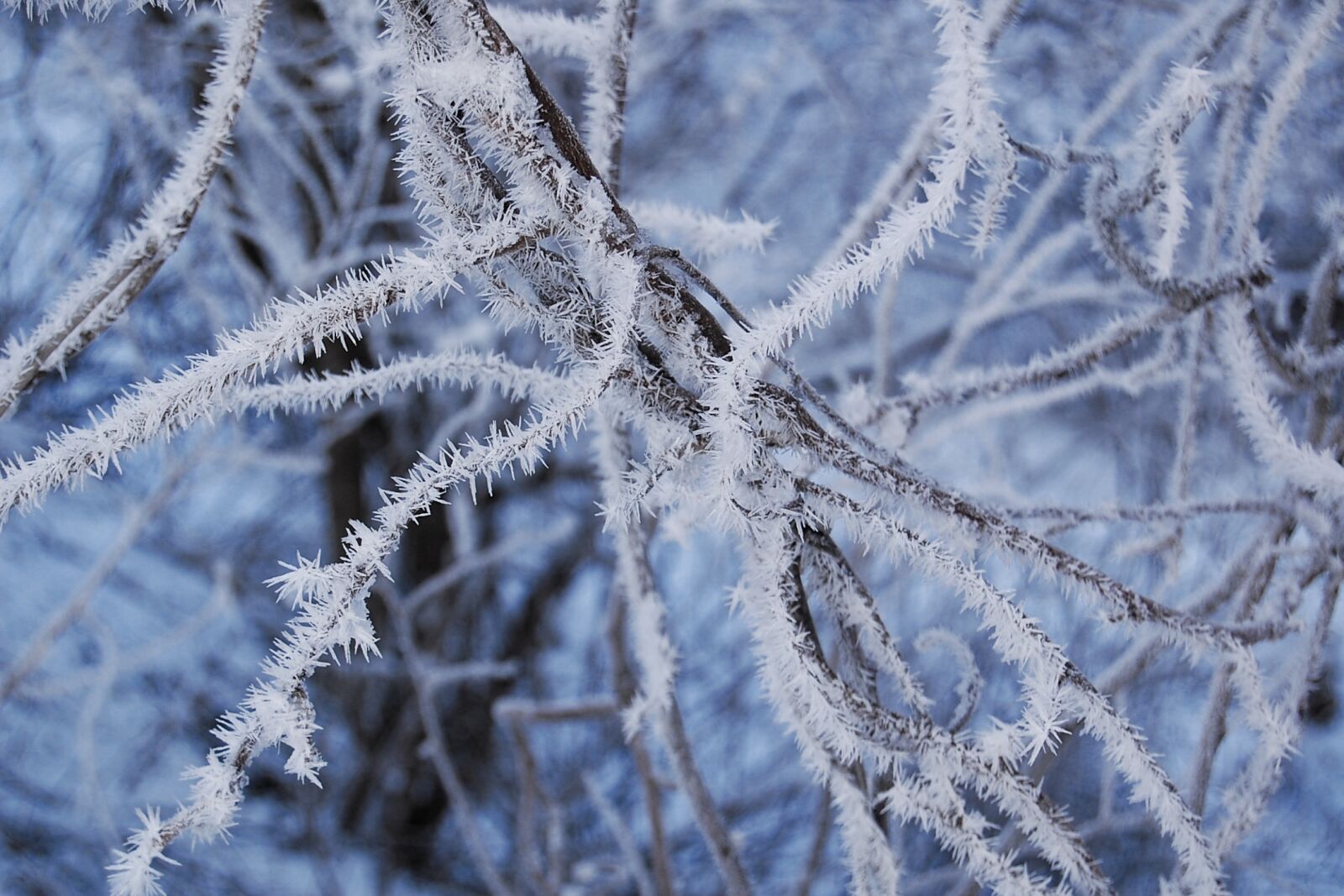 Nikon D40 sample photo. Japan, natural, landscape photography