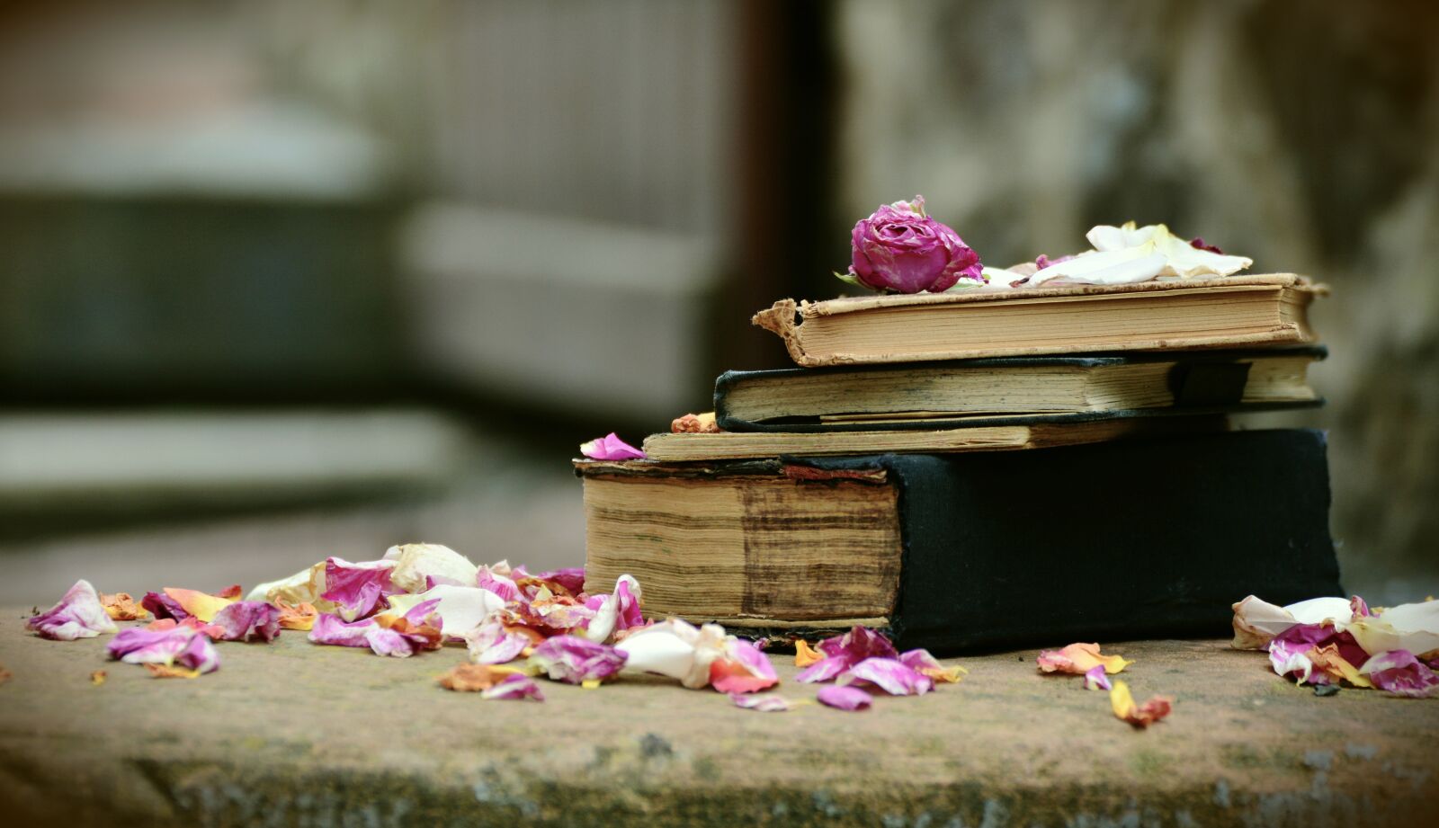 Nikon D5200 sample photo. Books, old books, antiquariat photography
