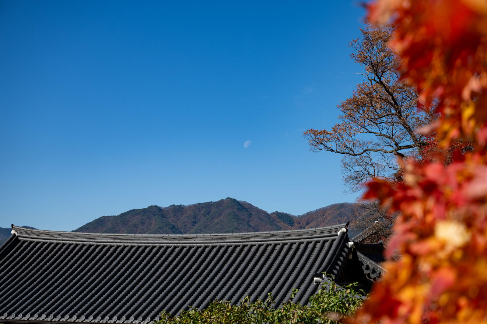 Nikon Nikkor Z 24-70mm F2.8 S sample photo