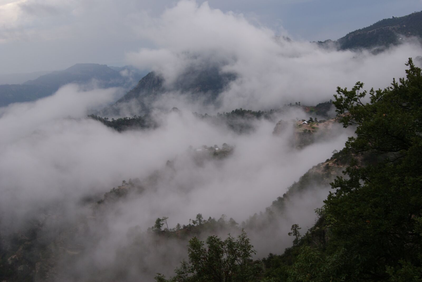 Sony Alpha DSLR-A230 sample photo. Mountains, fog, foggy photography