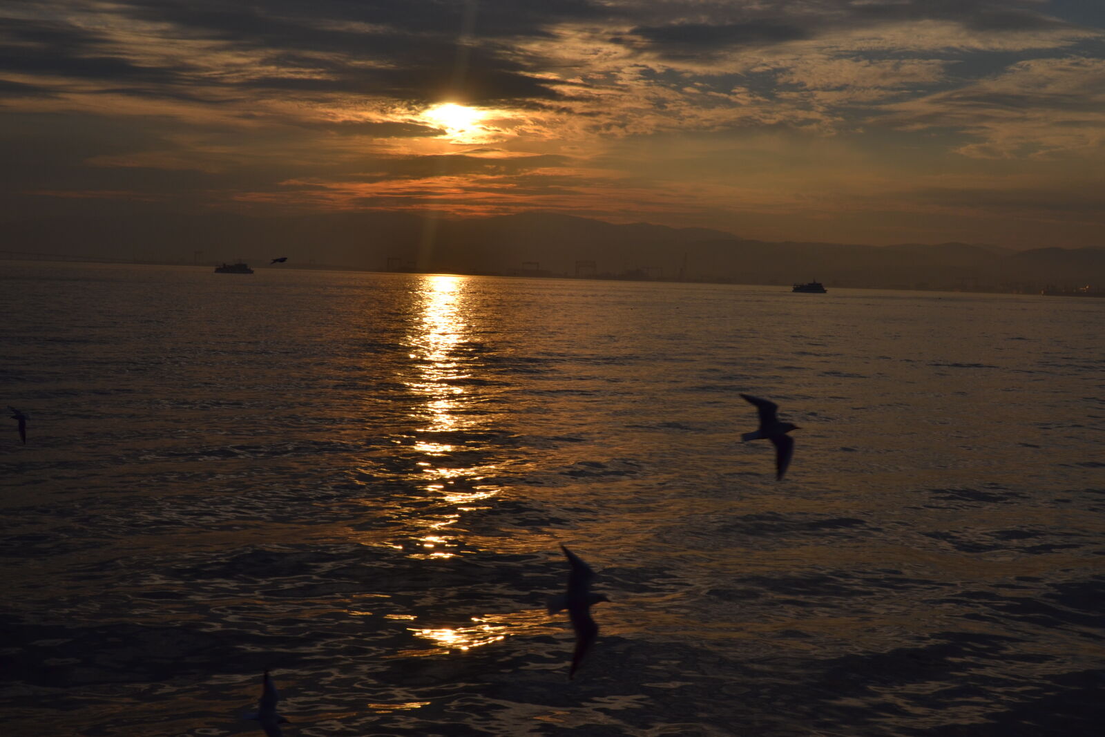 Nikon D3100 sample photo