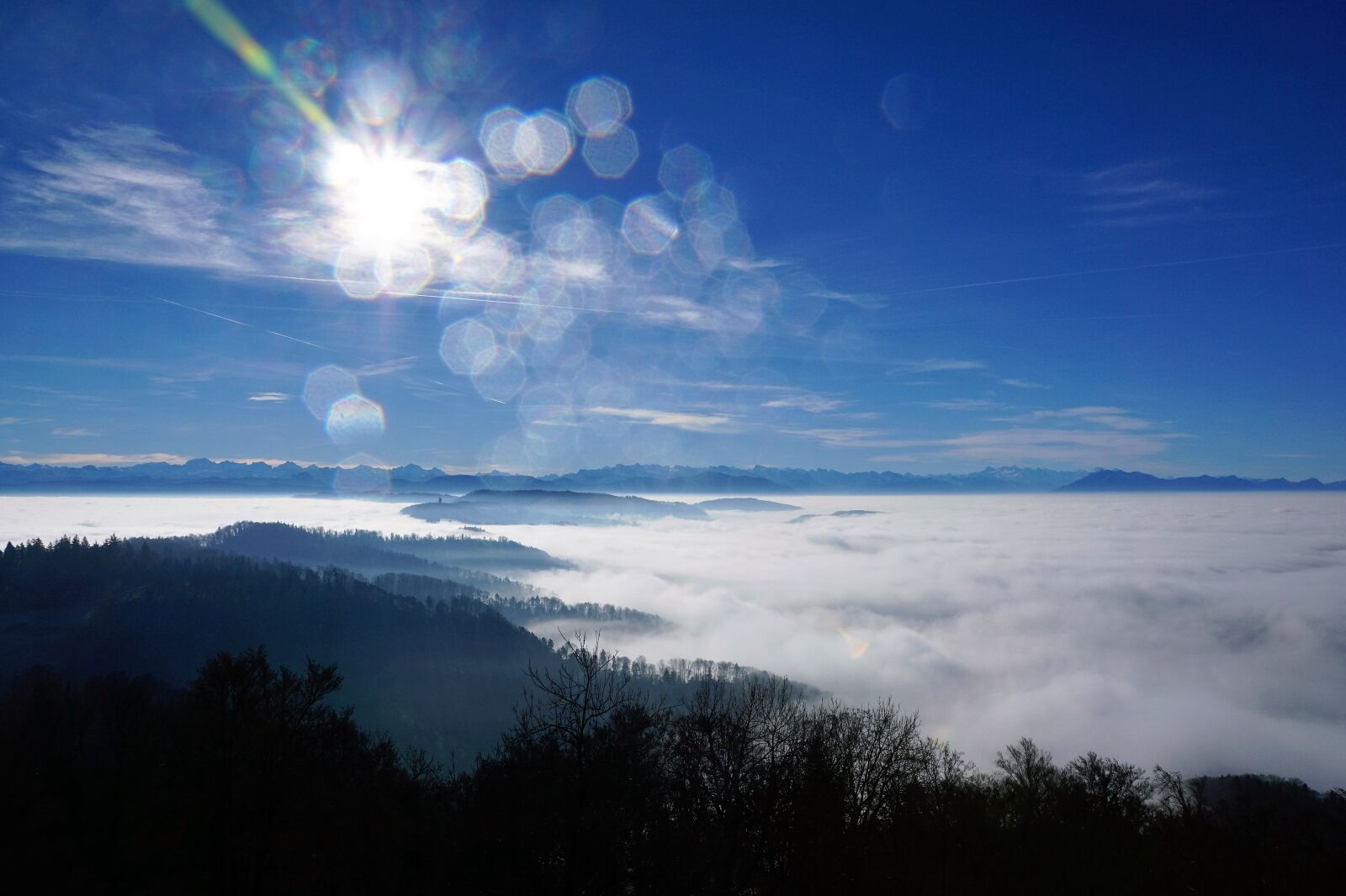 Sony ILCA-77M2 + Sony DT 16-50mm F2.8 SSM sample photo. Fog, sky, nature photography