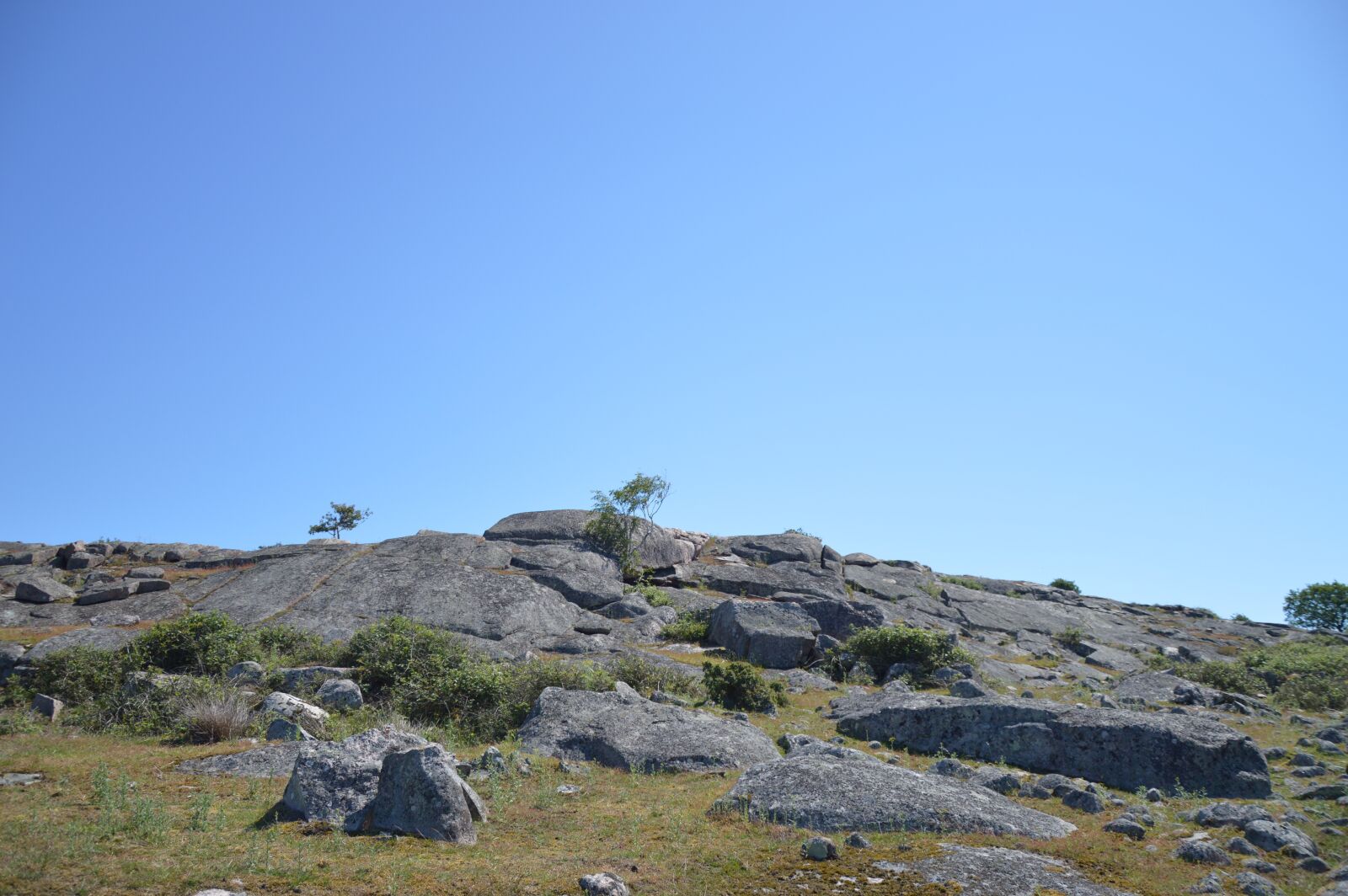 Nikon D3200 sample photo. Aberdeen, halland, sweden photography