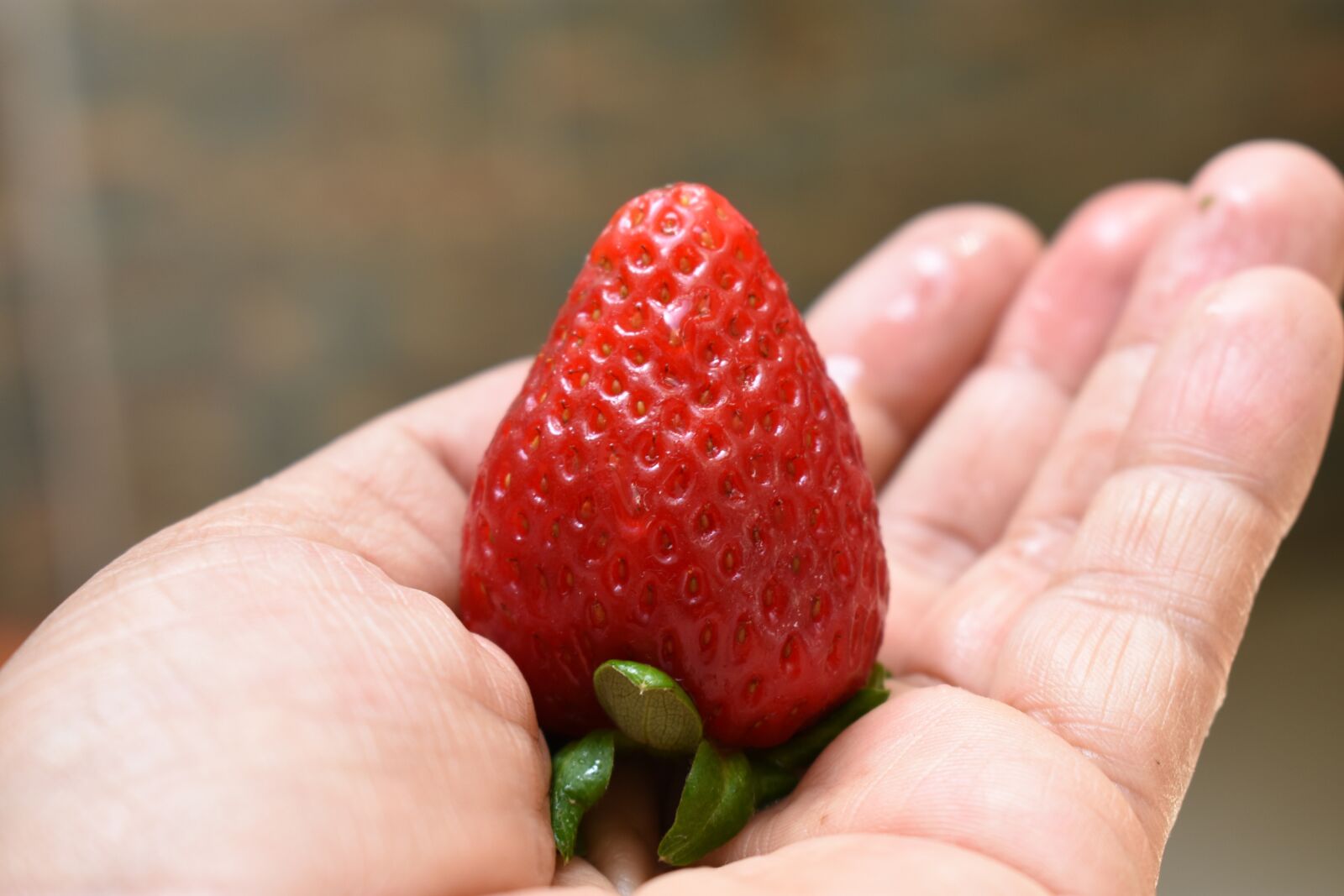Nikon D3400 sample photo. Strawberry, fruit, food photography