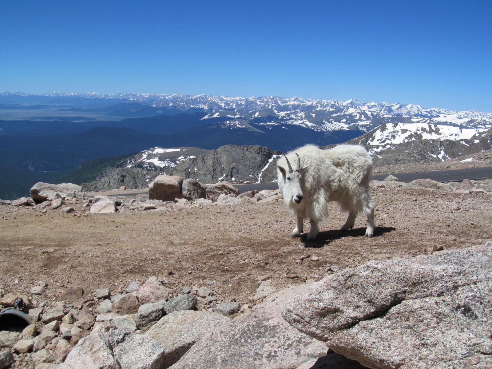 Canon PowerShot SX150 IS sample photo. Mt, evans, colorado photography