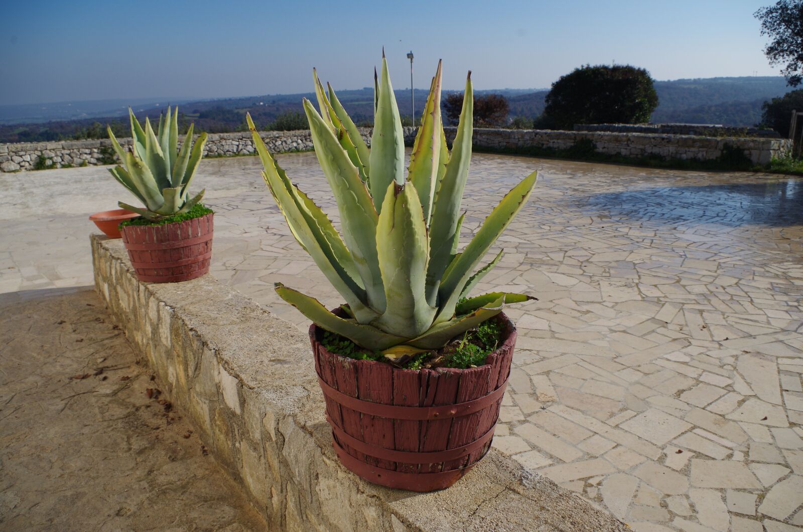 Pentax K-50 sample photo. Barsento, puglia, campaign photography