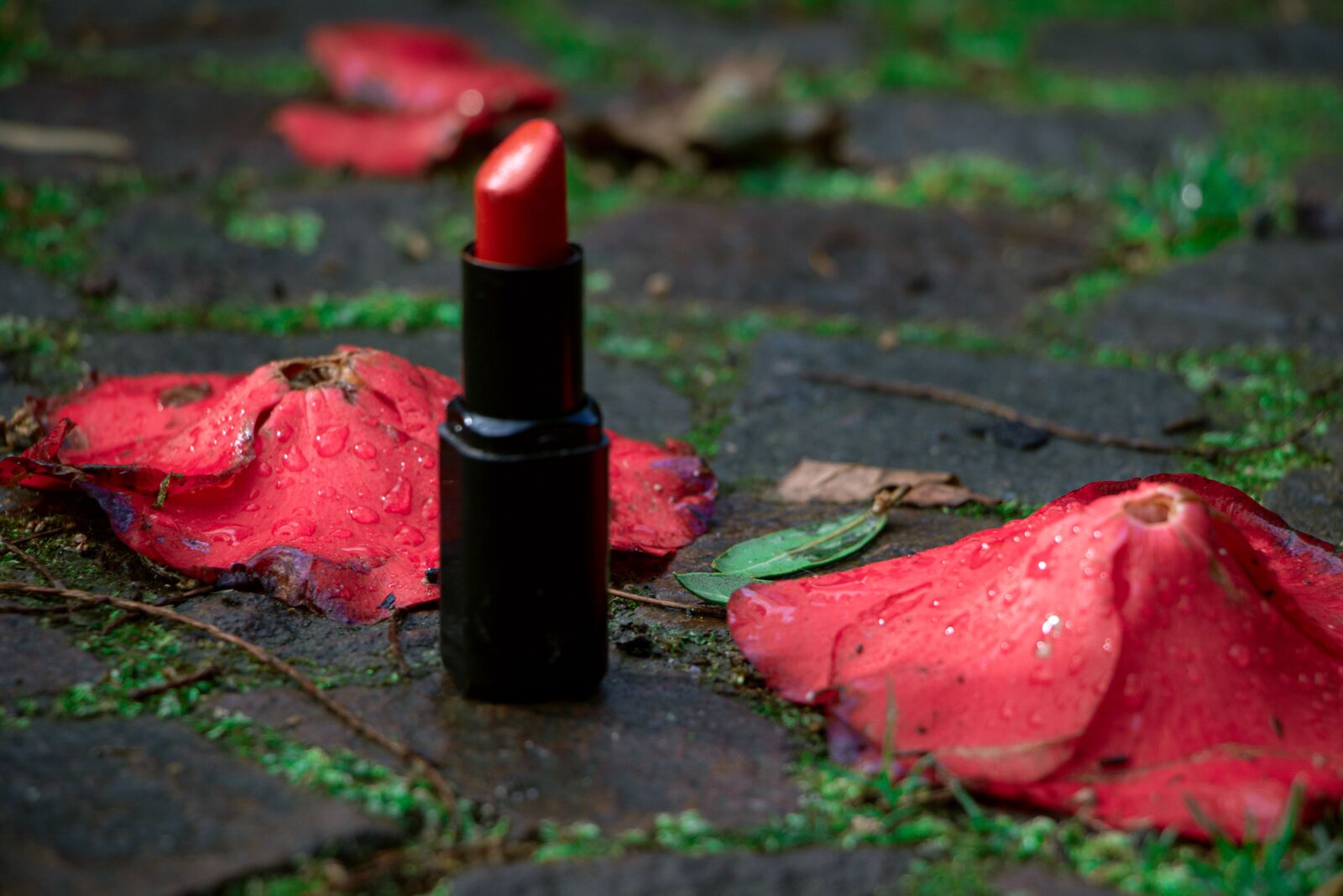 Canon EOS 750D (EOS Rebel T6i / EOS Kiss X8i) sample photo. Makeup, flower, red photography