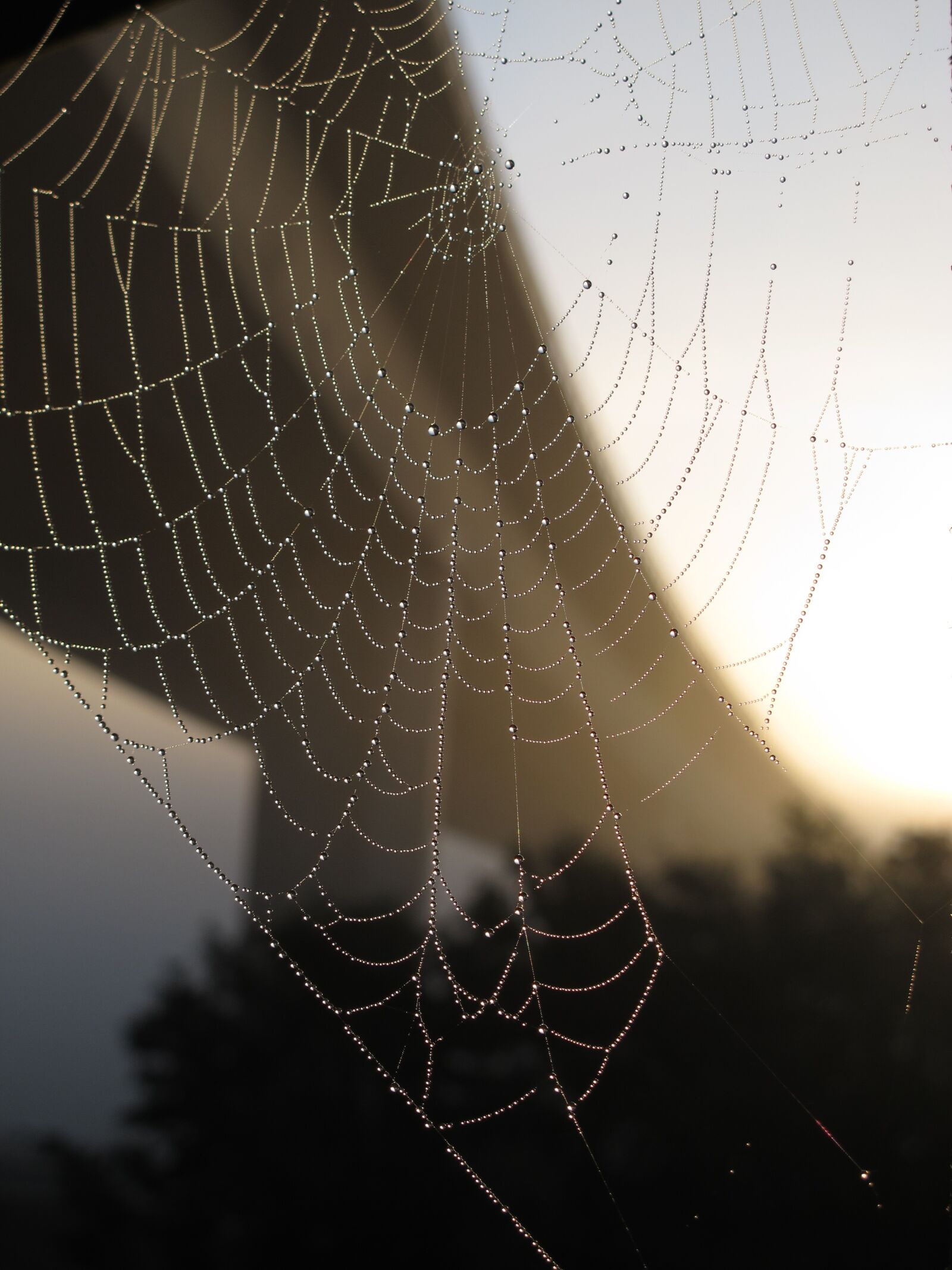 Canon PowerShot G12 sample photo. Bridge, cobweb, autumn photography