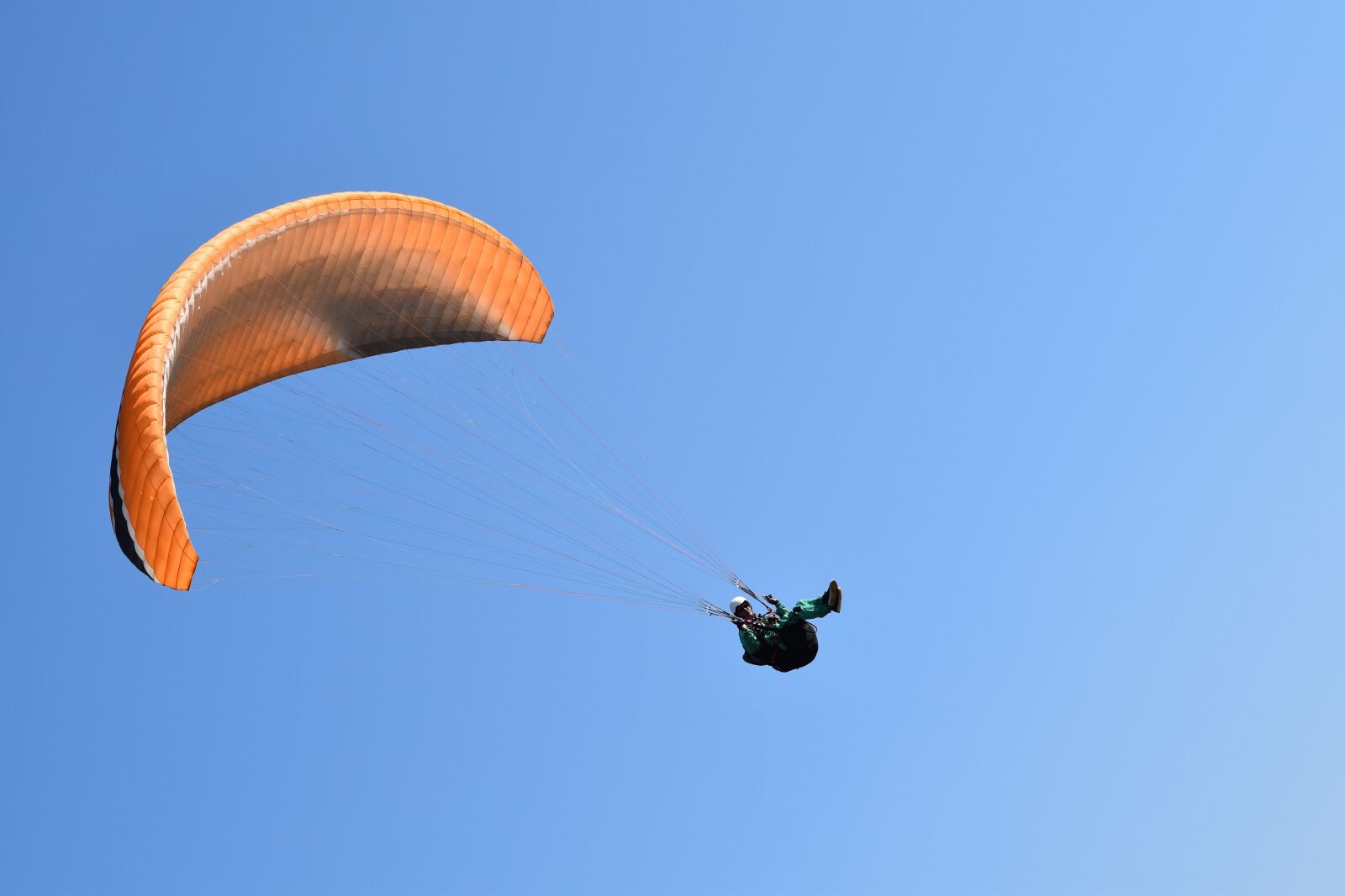 Nikon D5600 sample photo. Paragliding, paraglider, sails photography