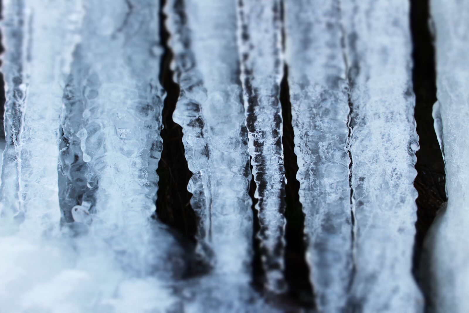 Canon EOS 1300D (EOS Rebel T6 / EOS Kiss X80) sample photo. Icicle, ice, frost photography
