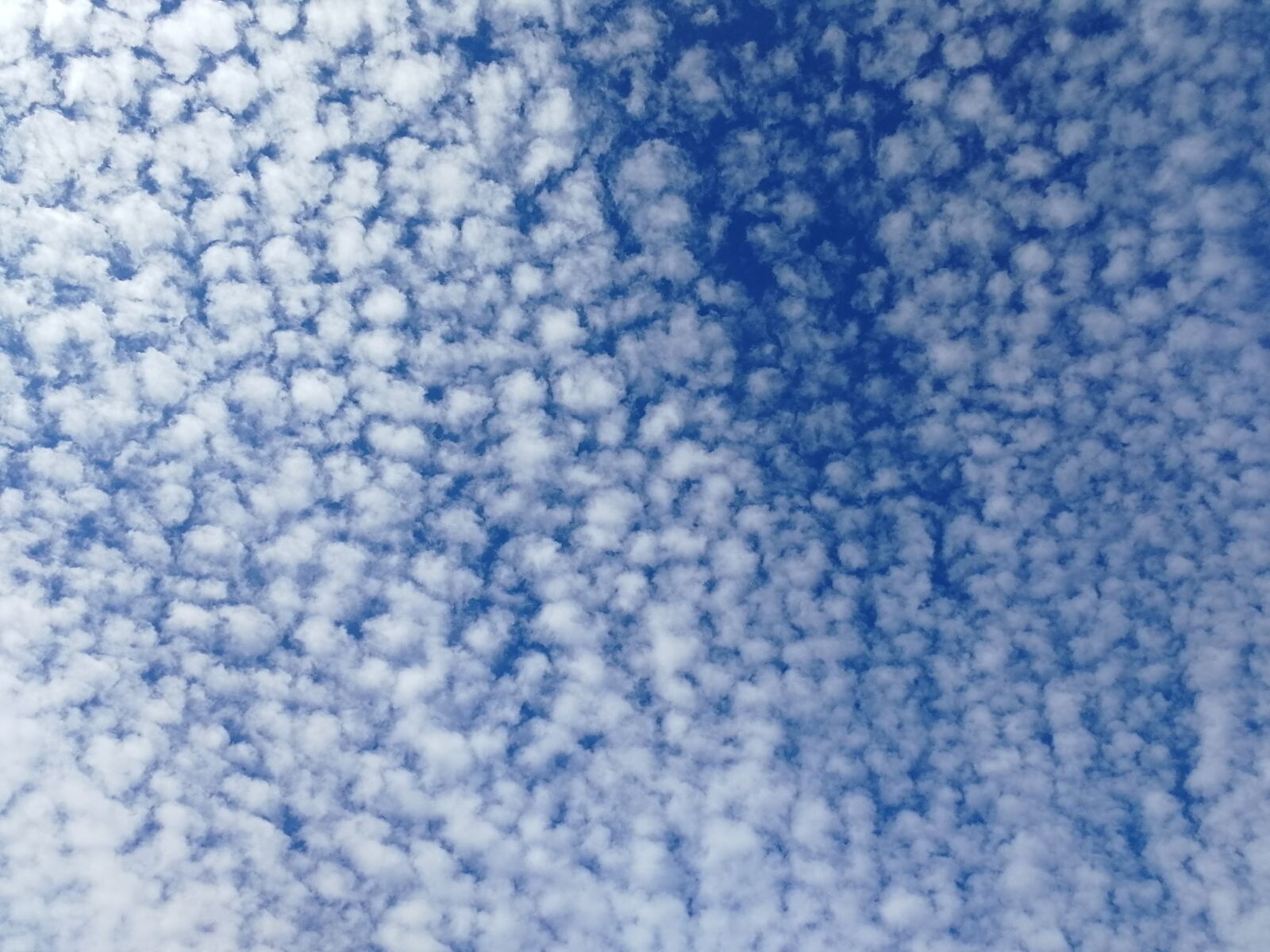 HUAWEI Honor 9 sample photo. Sky, clouds, summer photography