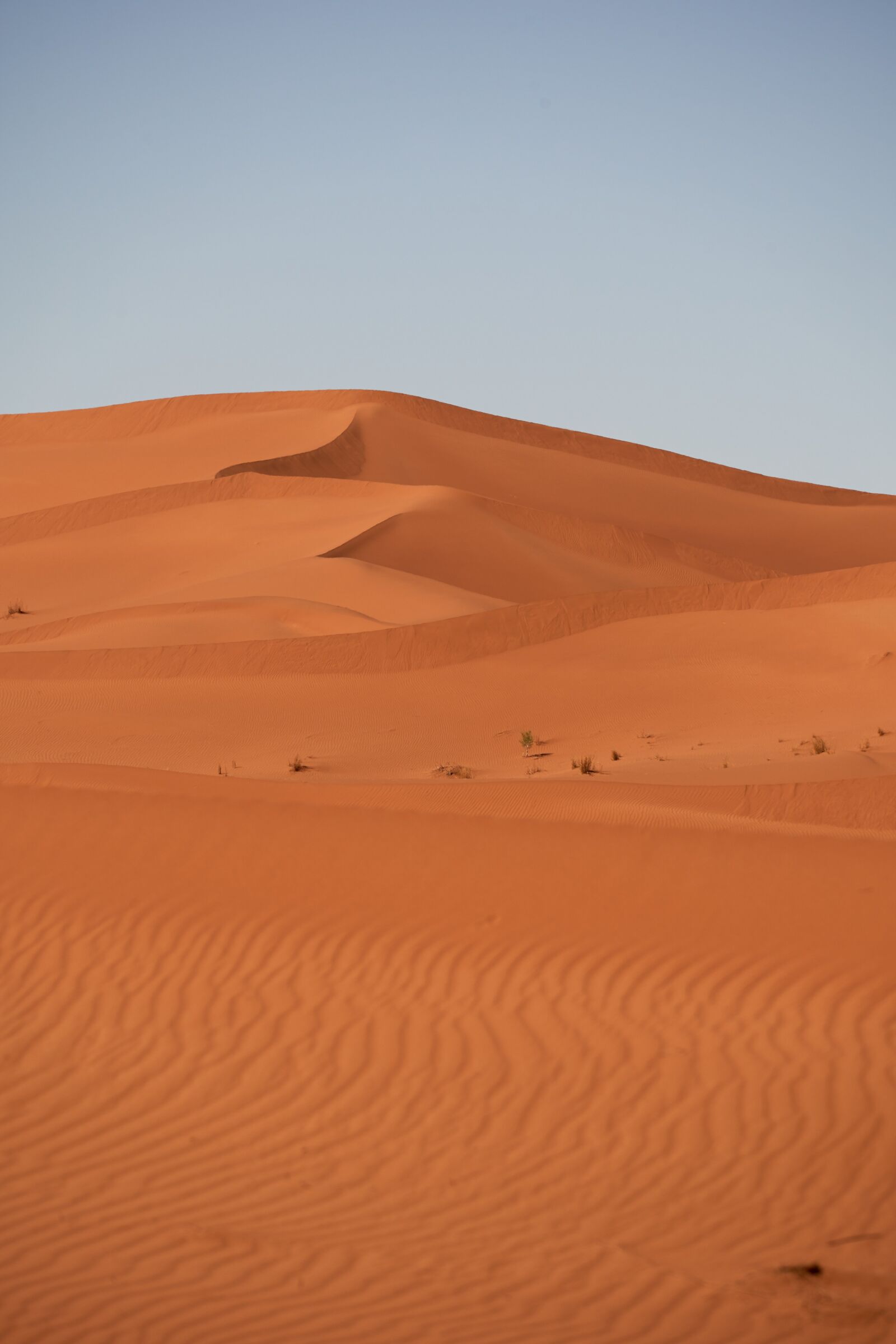 Sony FE 70-300mm F4.5-5.6 G OSS sample photo. Desert, sahara, sand photography
