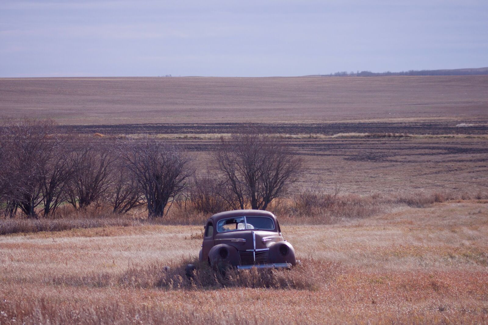 Canon EOS 500D (EOS Rebel T1i / EOS Kiss X3) sample photo. Landscape, car, nostalgia photography