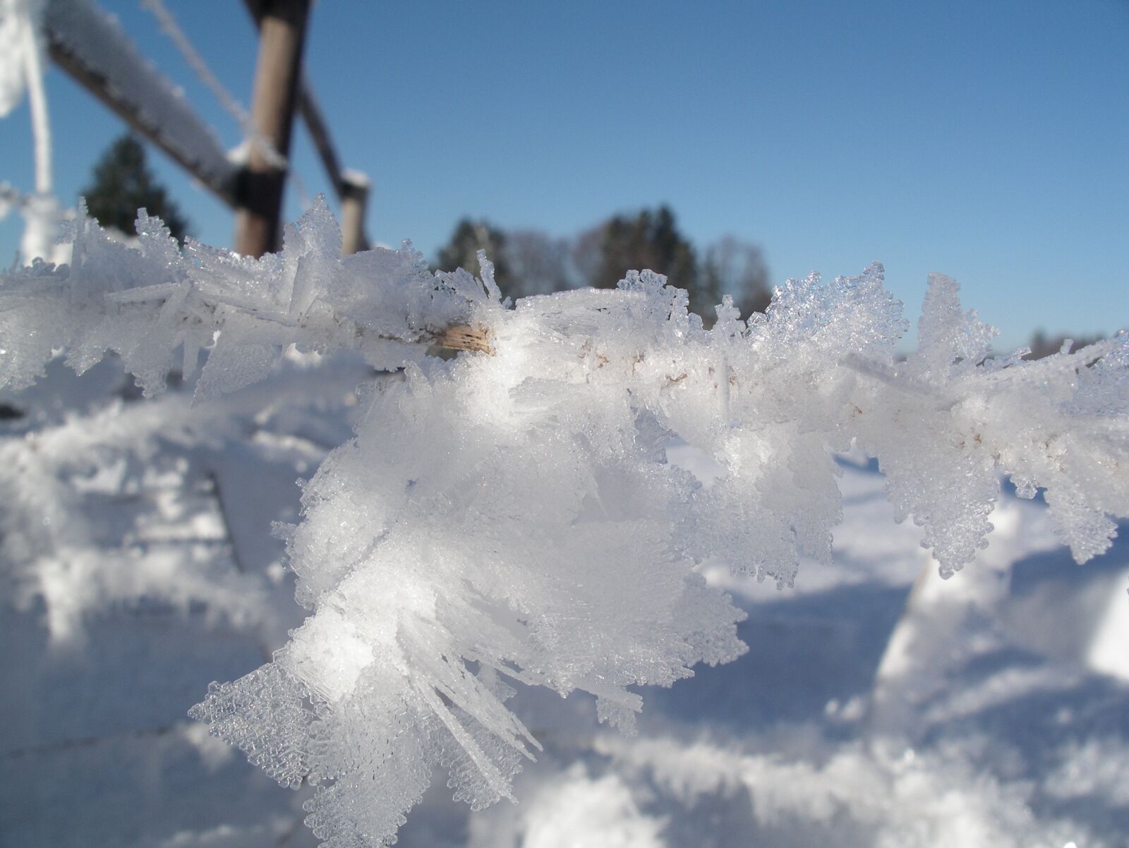 Pentax OPTIO 750Z sample photo. Winter, children, play photography