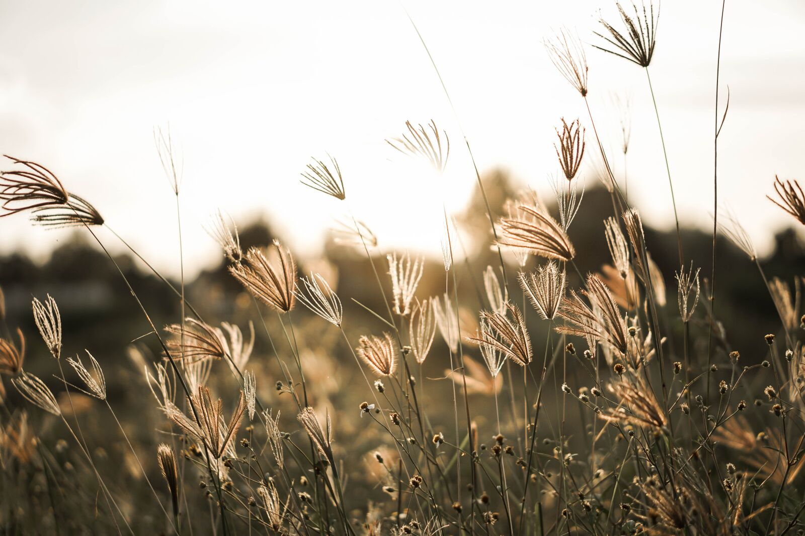 E 50mm F1.8 OSS sample photo. Fall back, black friday photography
