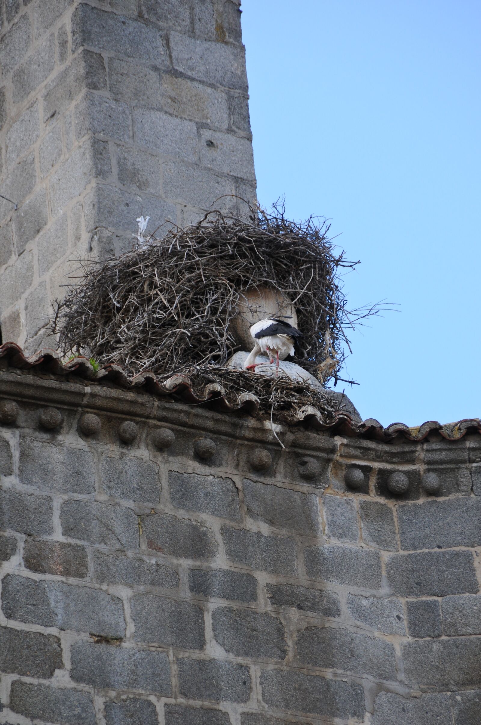 Nikon D300 sample photo. Bell tower, stork, city photography