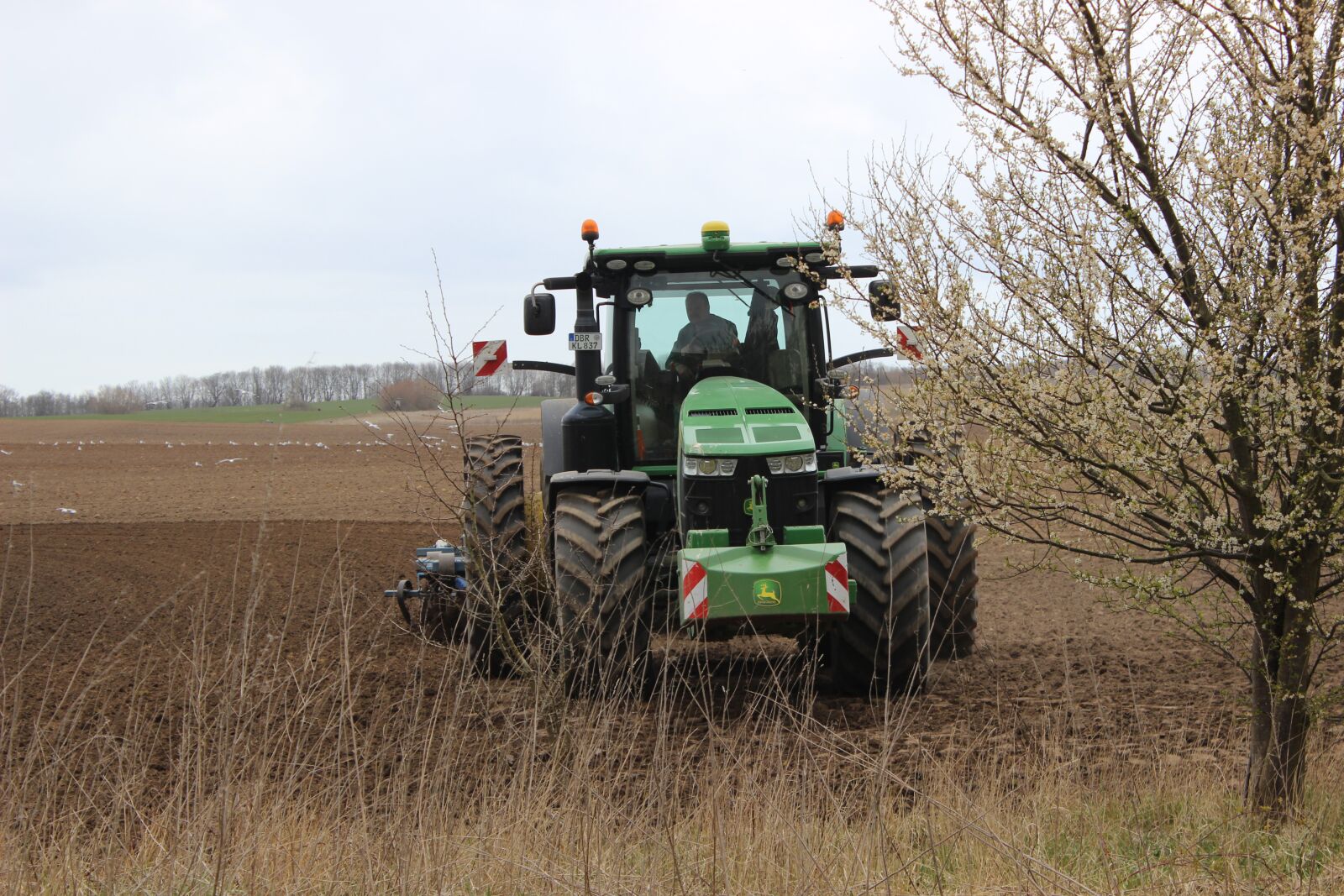 Canon EOS 600D (Rebel EOS T3i / EOS Kiss X5) sample photo. Agriculture, spring, tractor photography